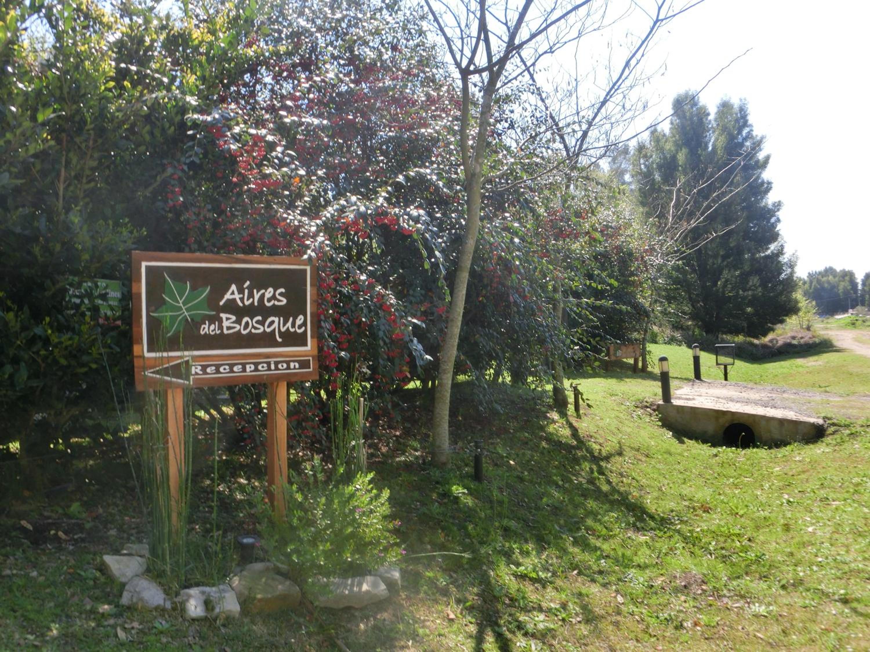 Complejo Aires del Bosque