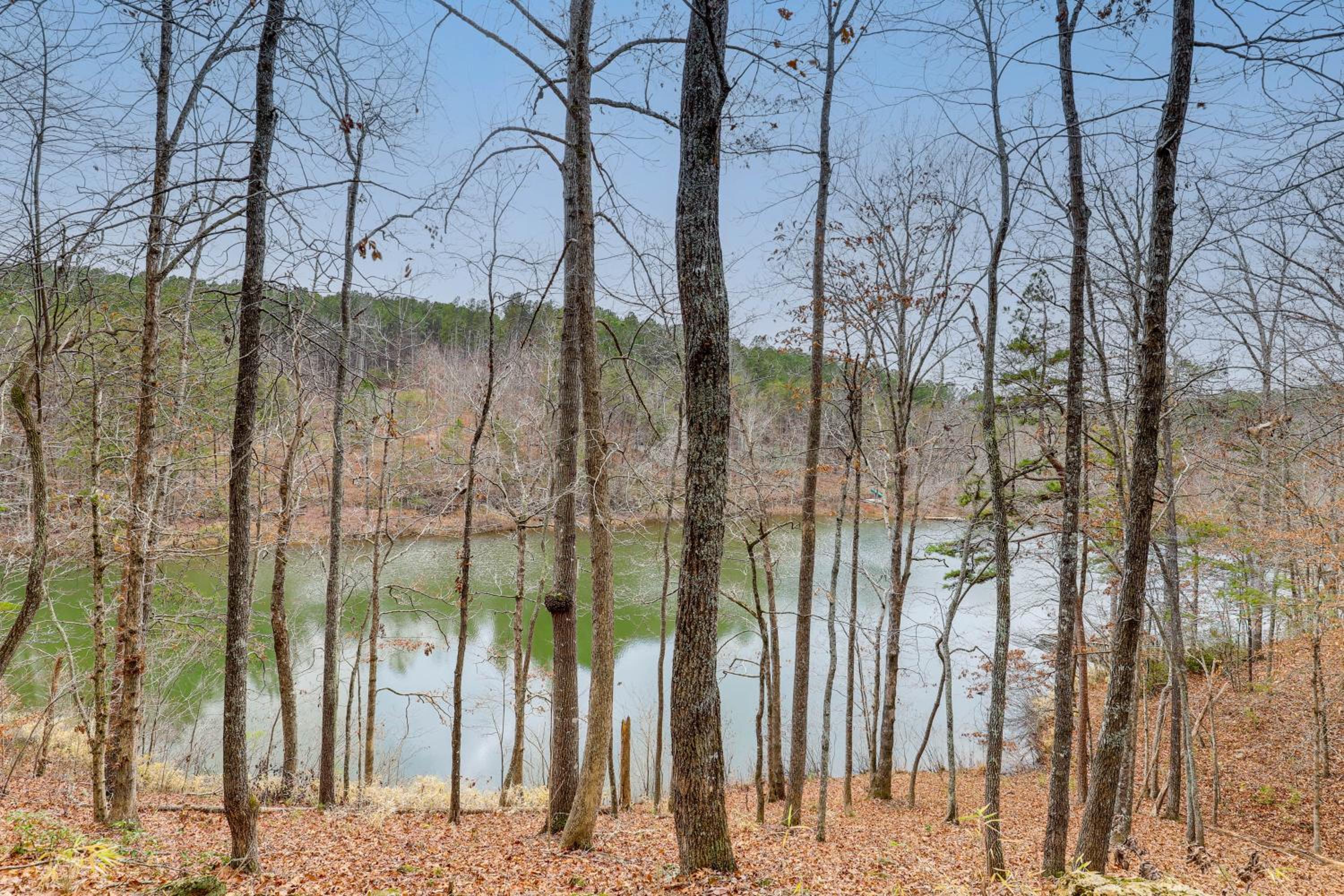 Views and Lake Access Secluded Cabin Escape in Nebo