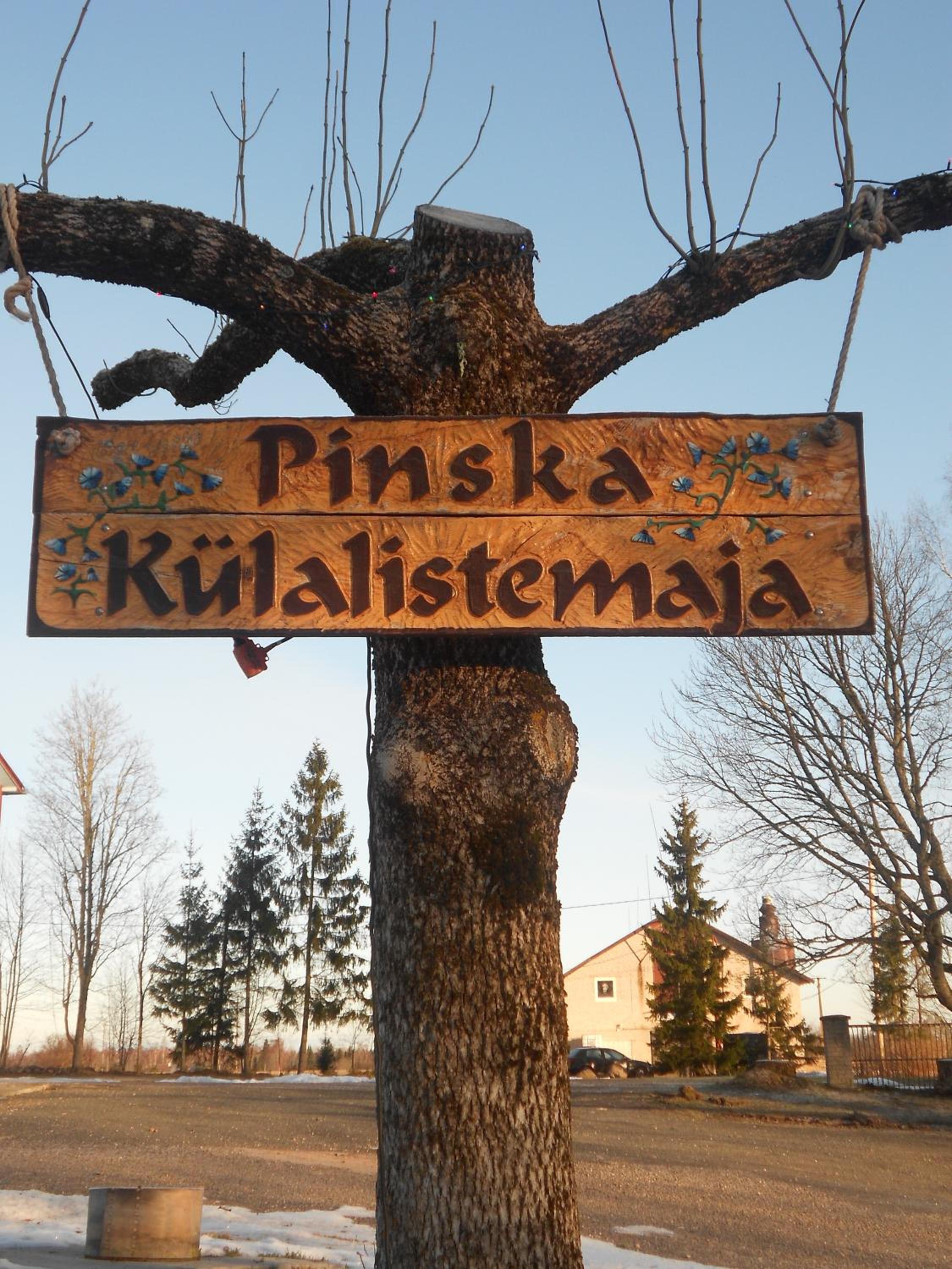 Pinska Guesthouse view 3