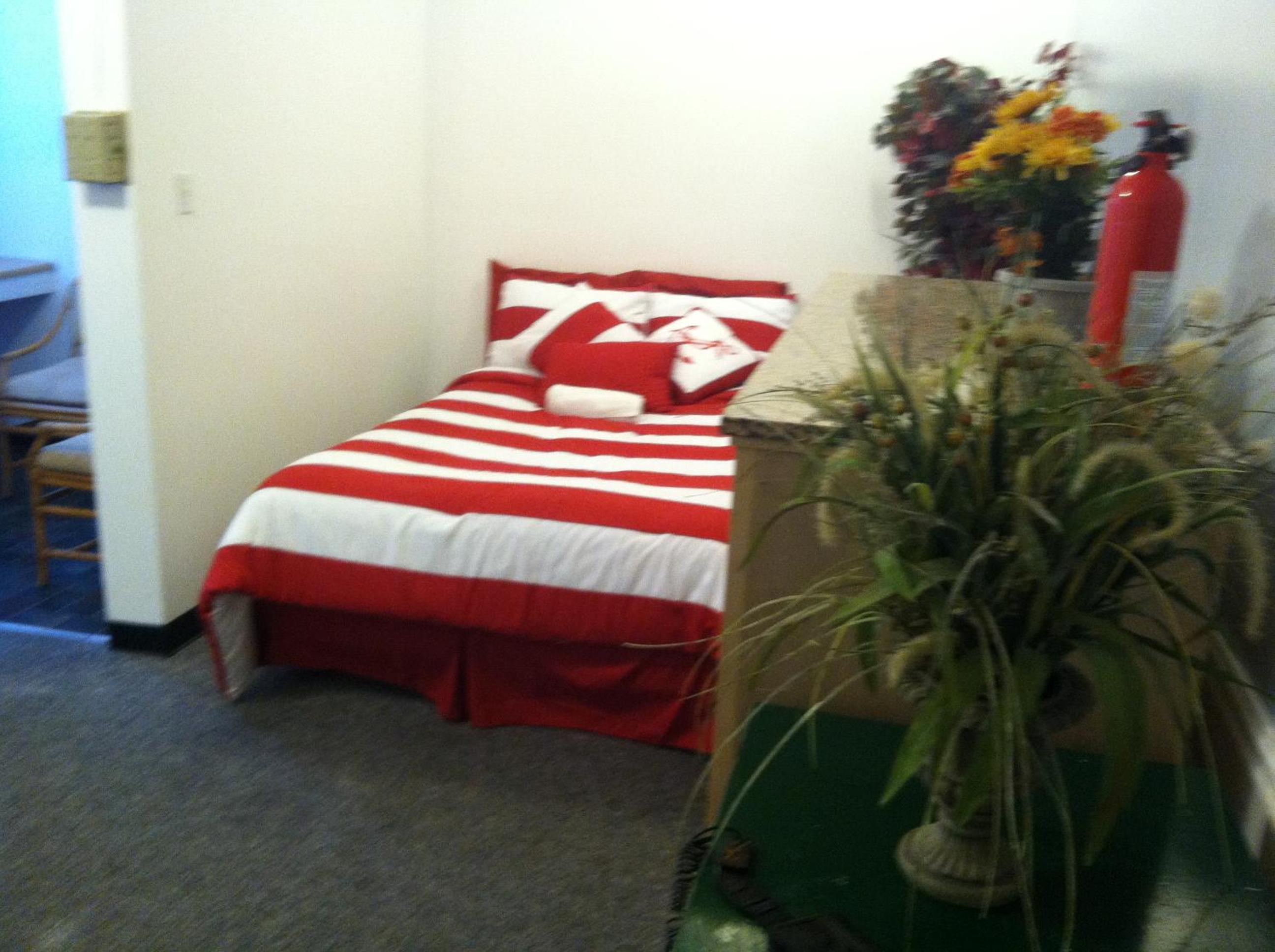 Venice Beach Hostel