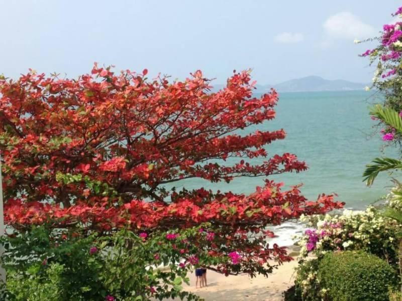 Majestic Residence pool villa Pattaya