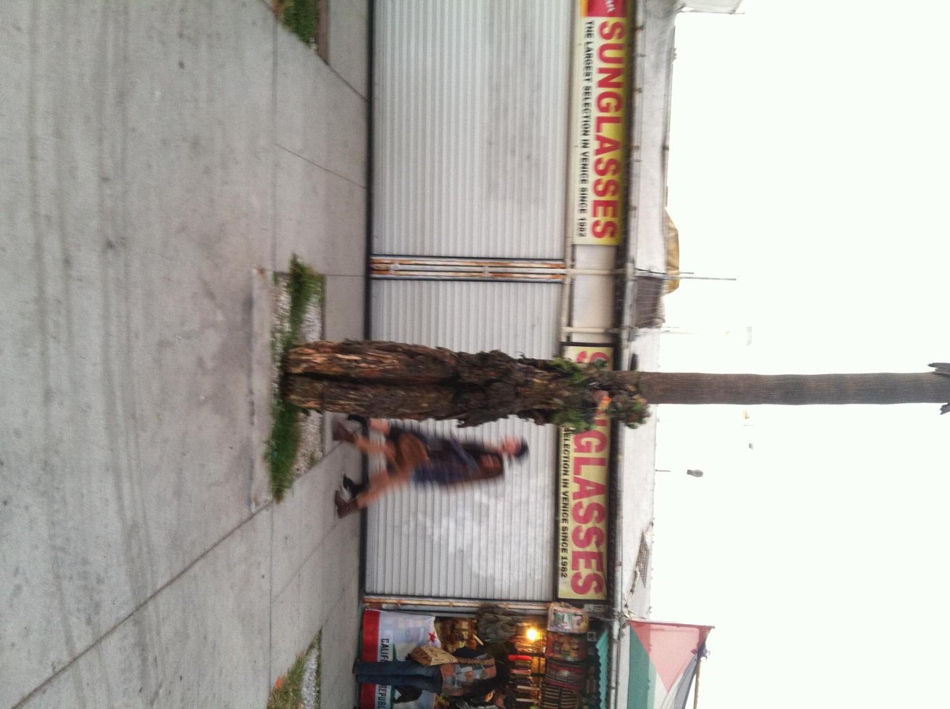 Venice Beach Hostel