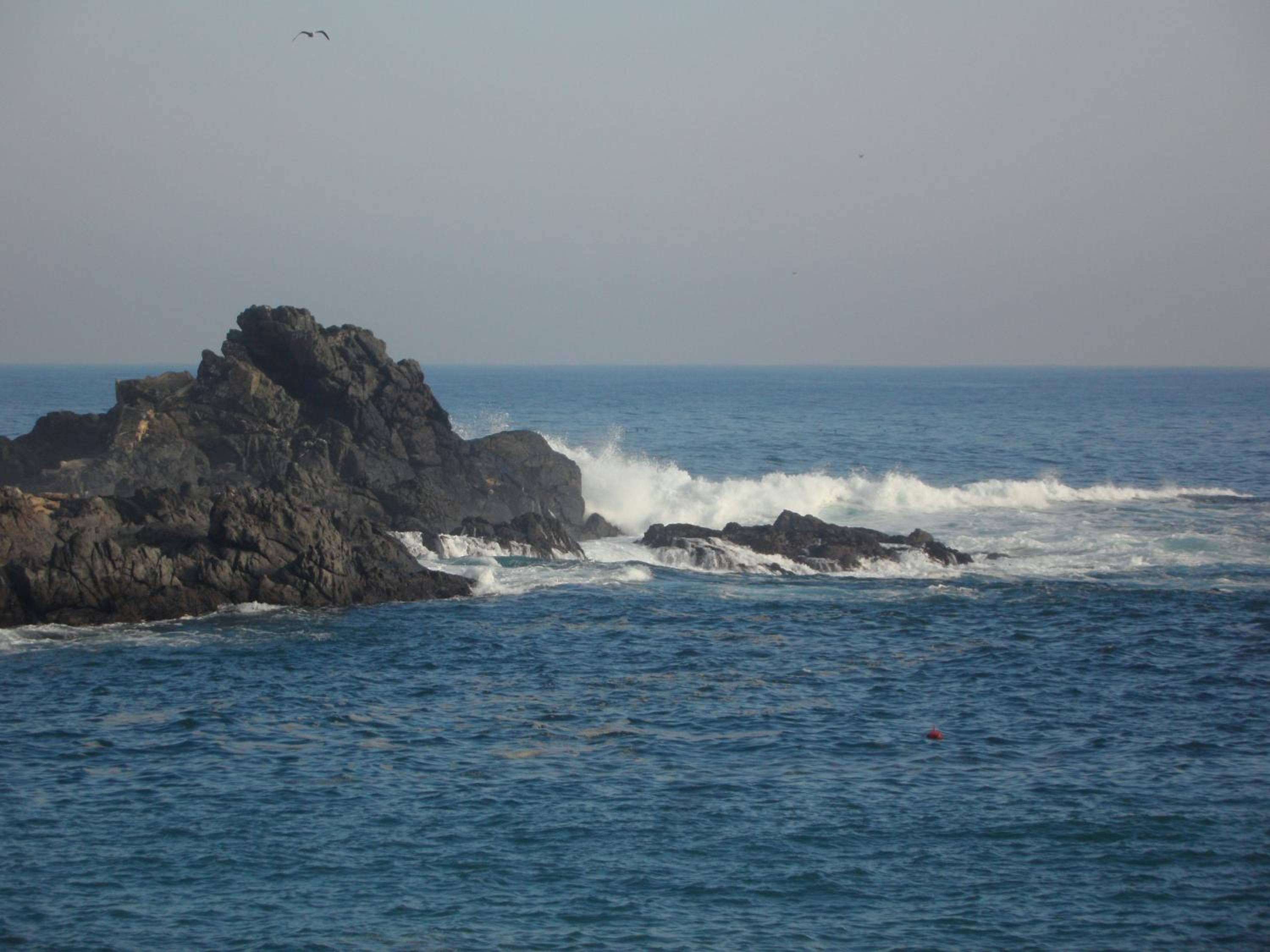 Photo 88