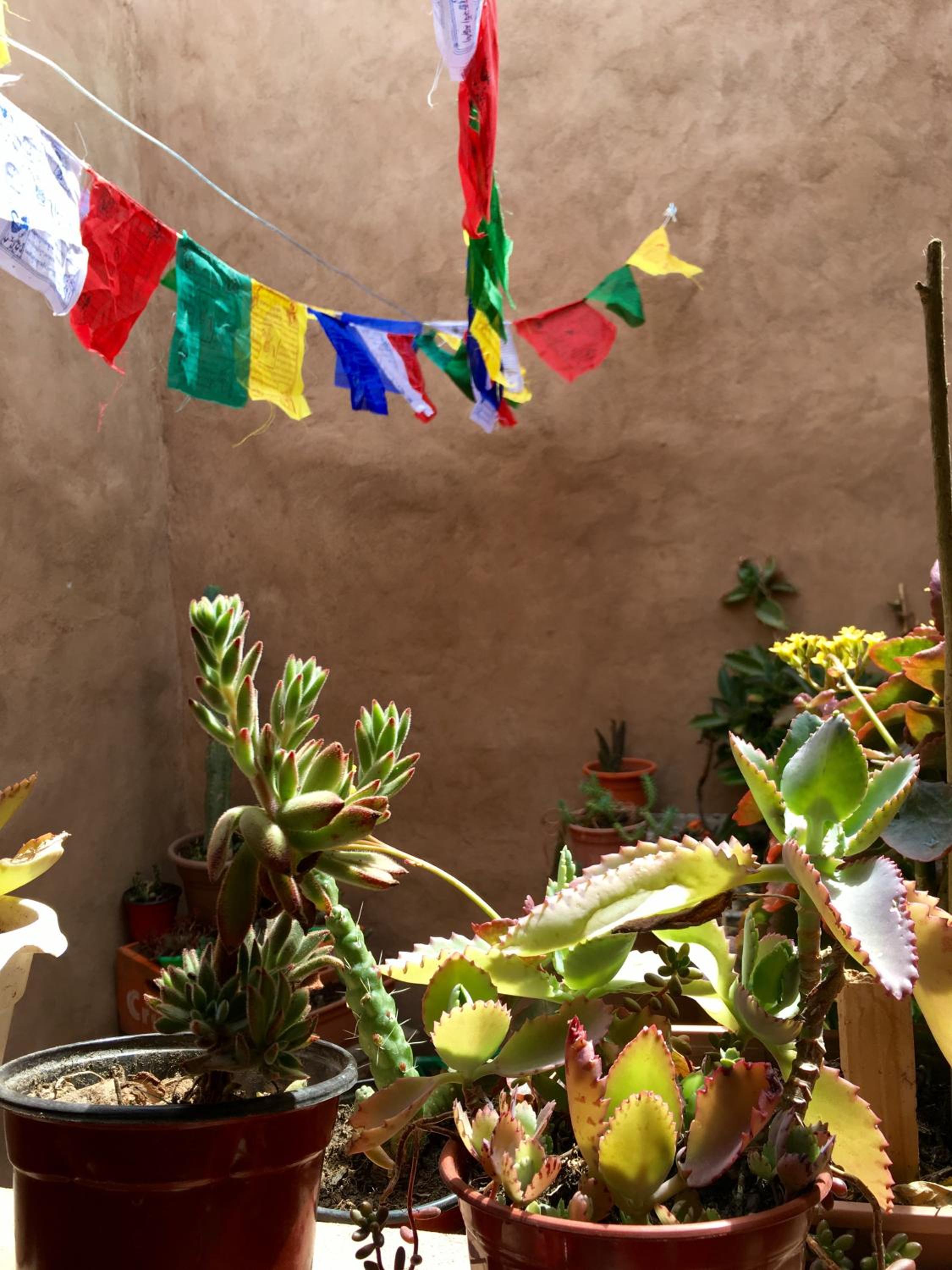 Casa Buika