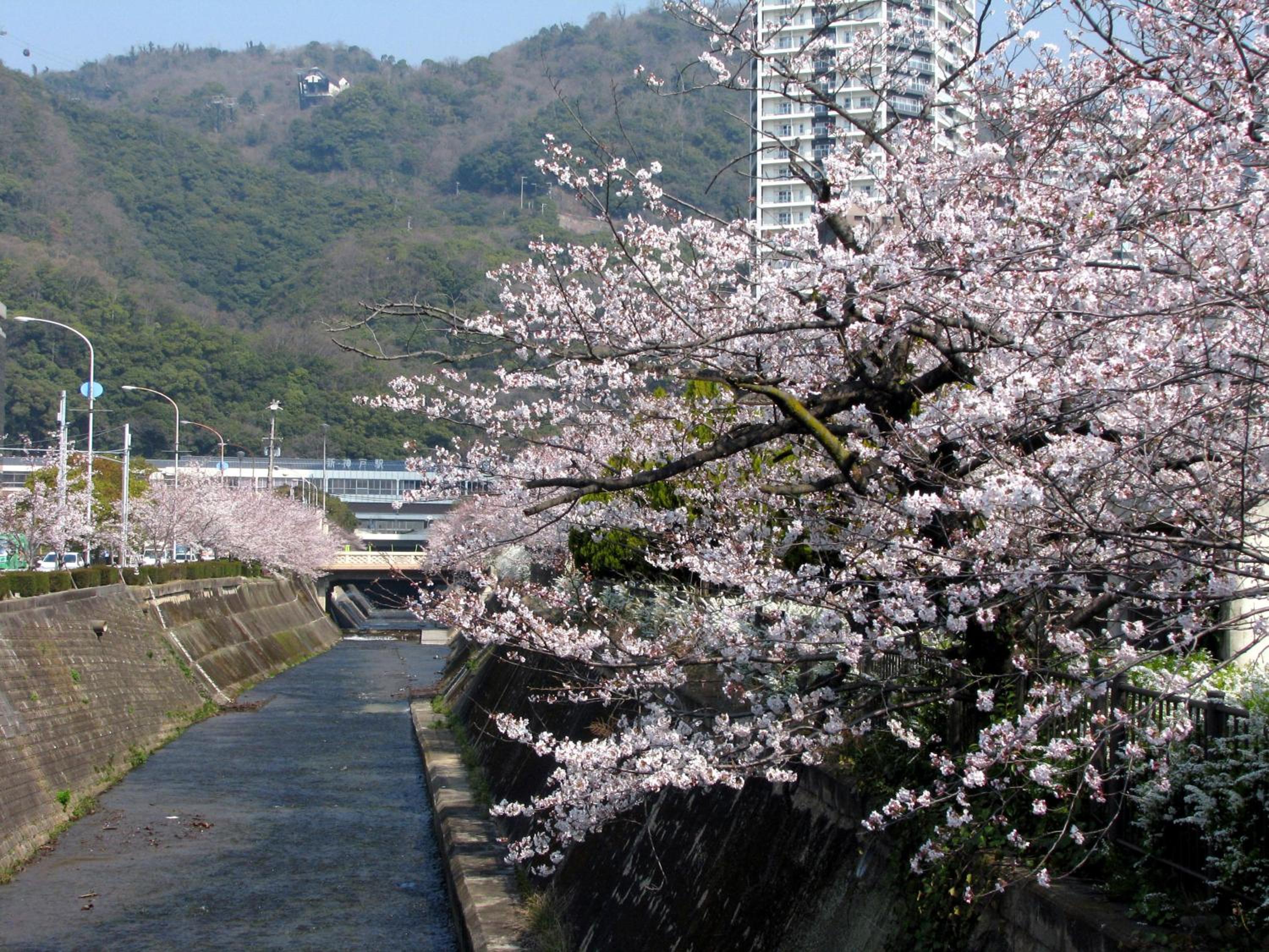 Hotel Isago Kobe