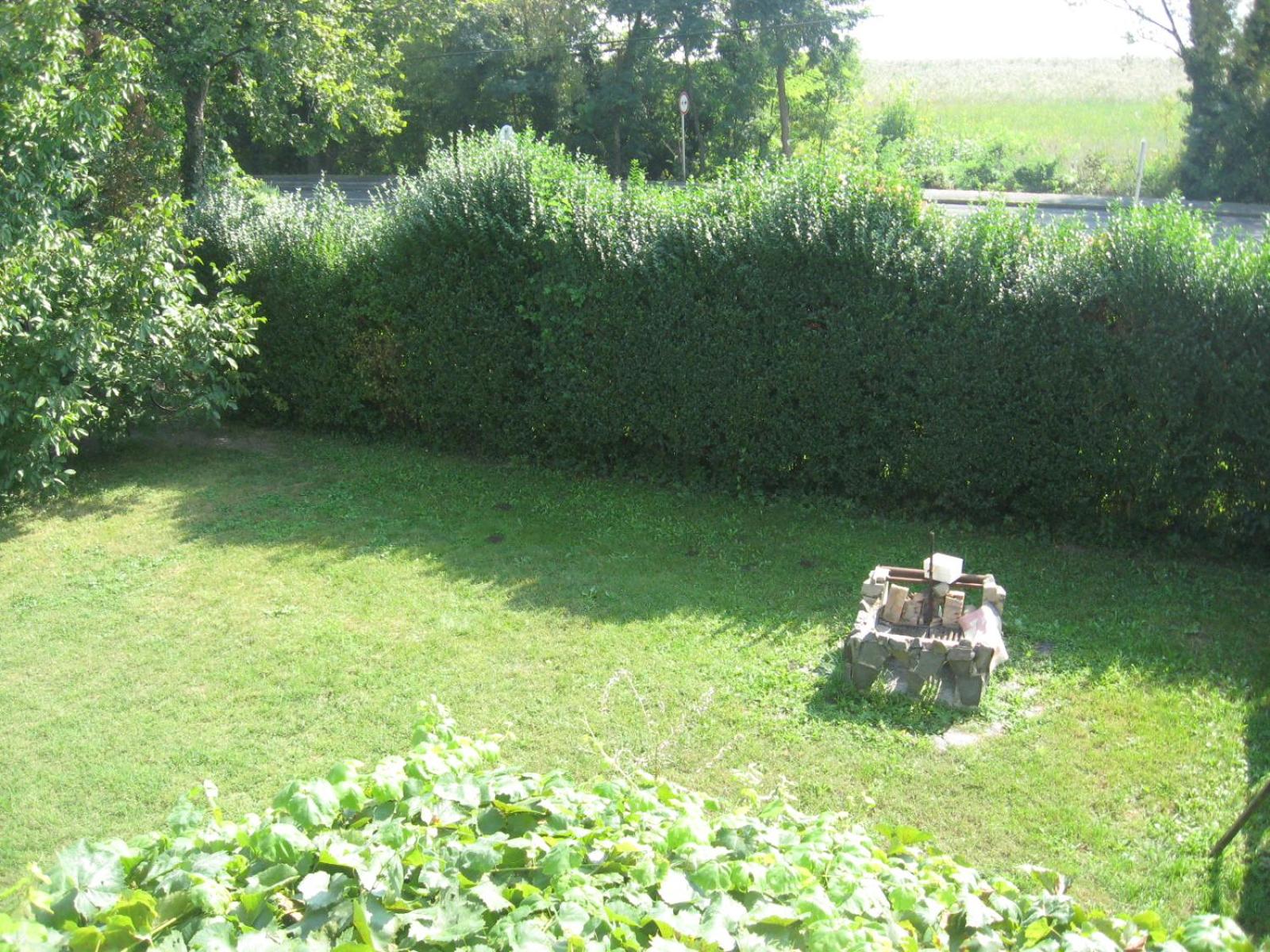 Photo 64