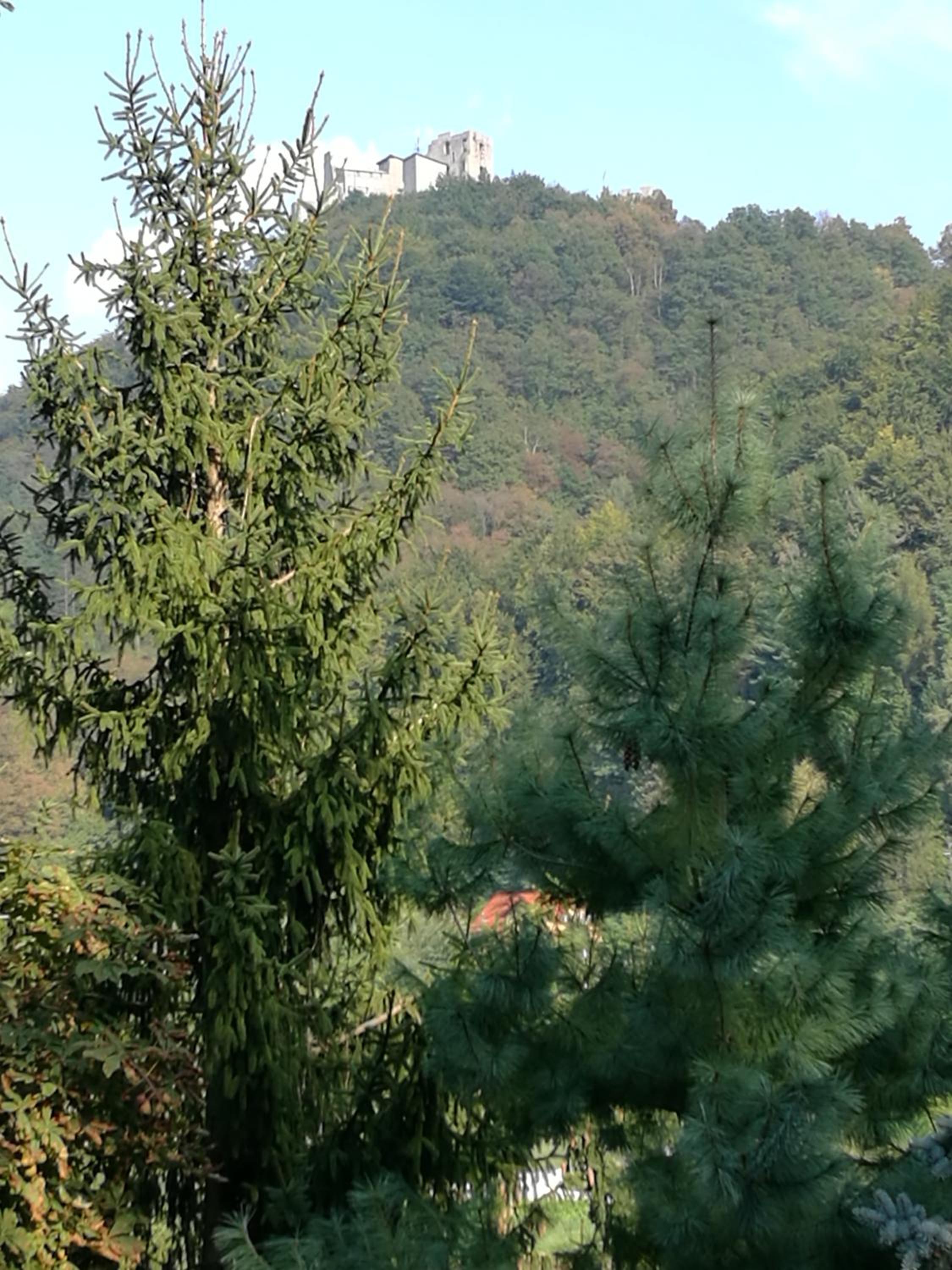 Apartment Belaj, photo 23