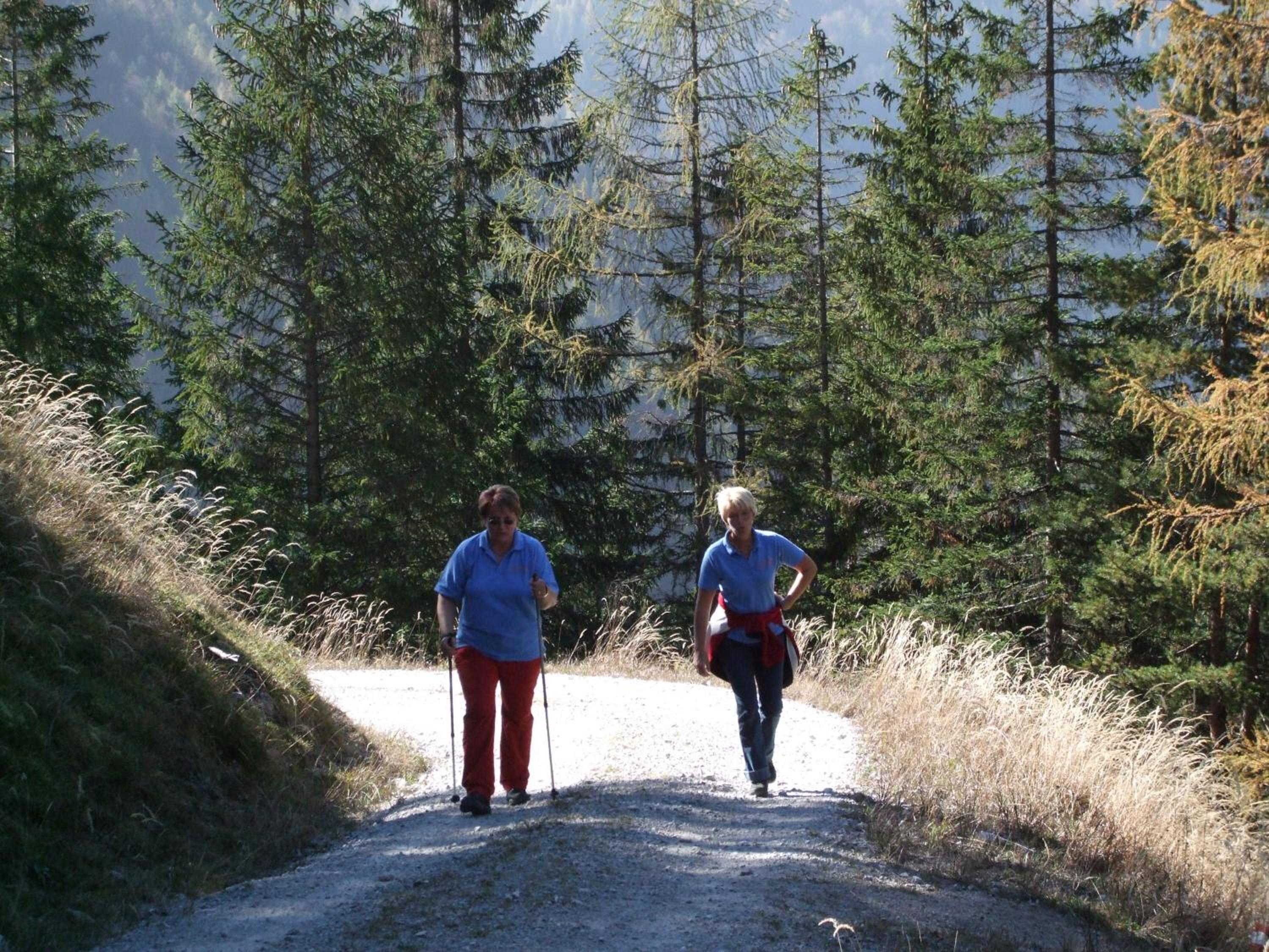Pension Hauser