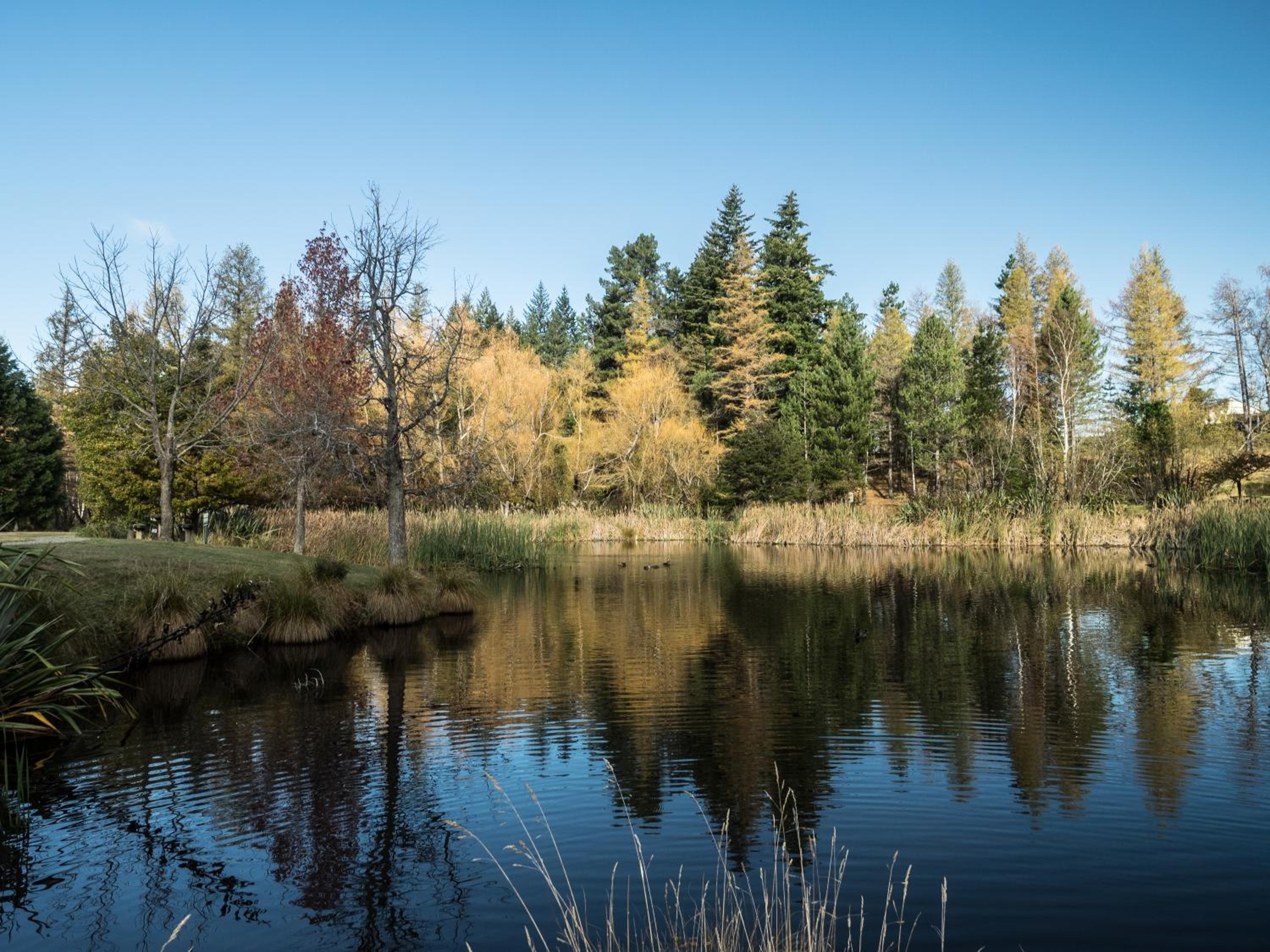 8 on Oregon Boutique Lodge