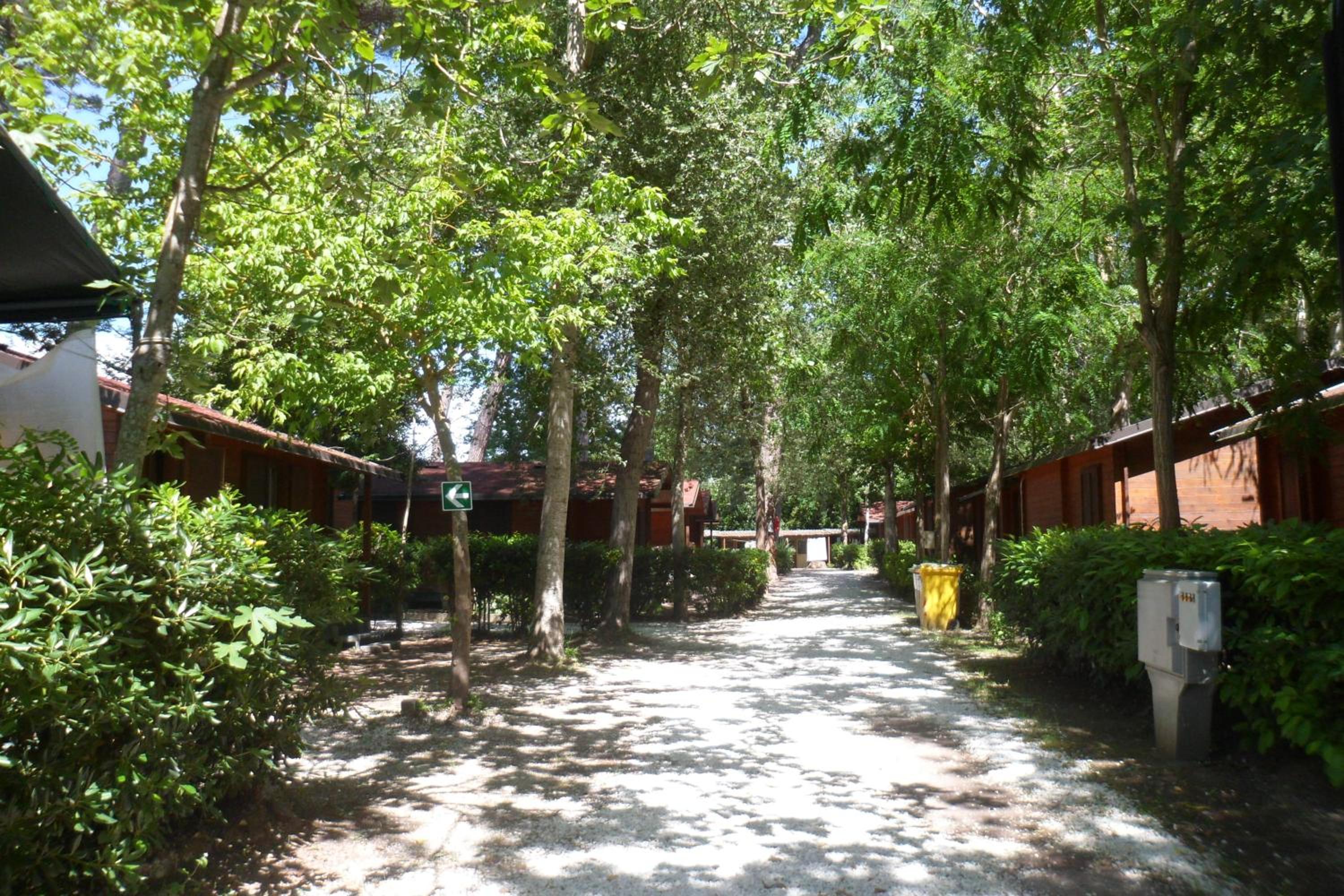 Campeggio Boscoverde, photo 87