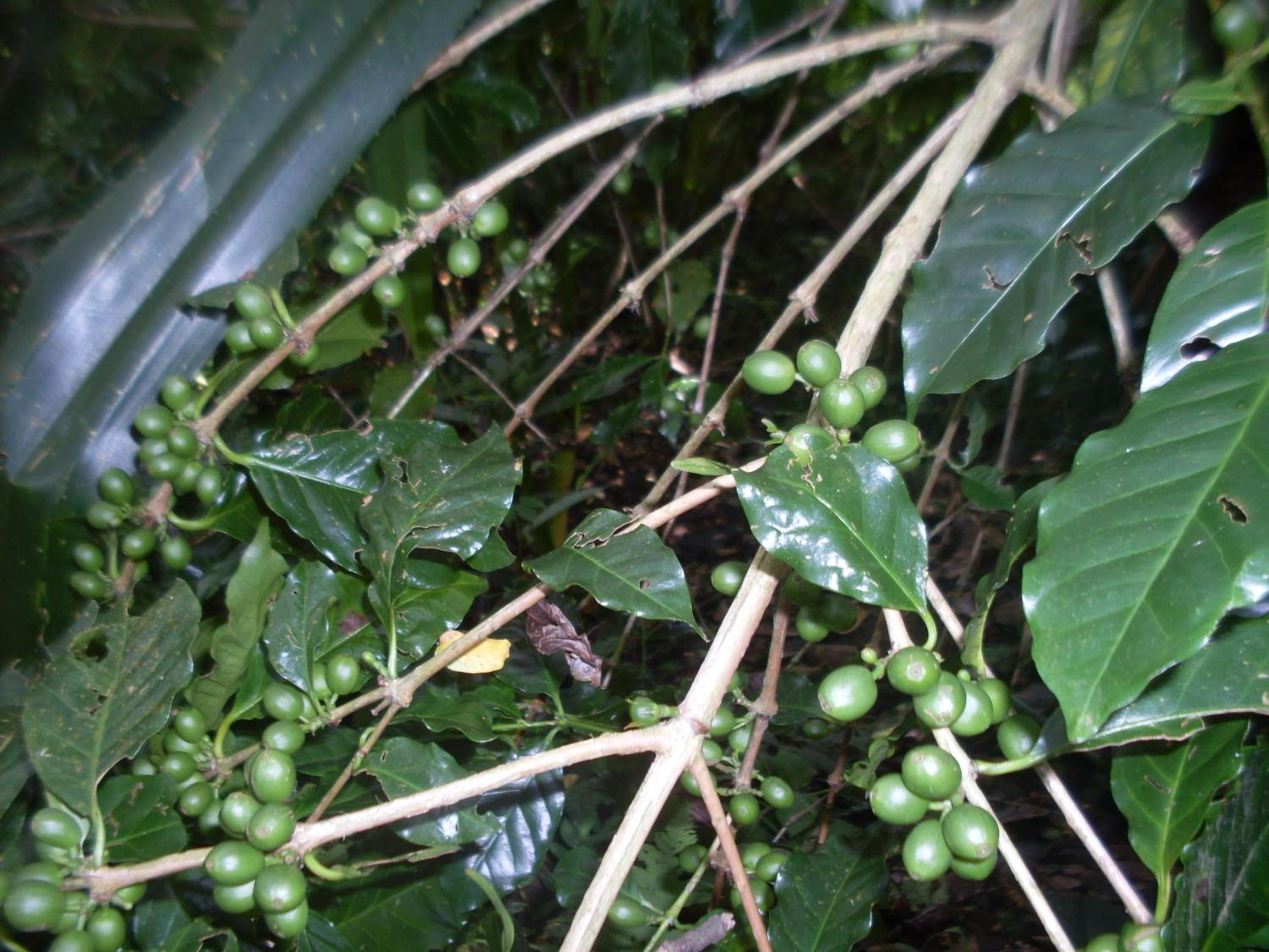 Photo 40