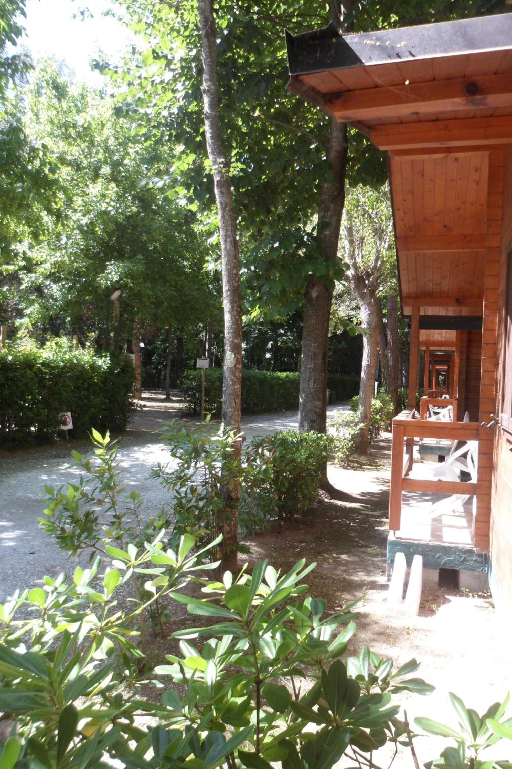 Campeggio Boscoverde, photo 23