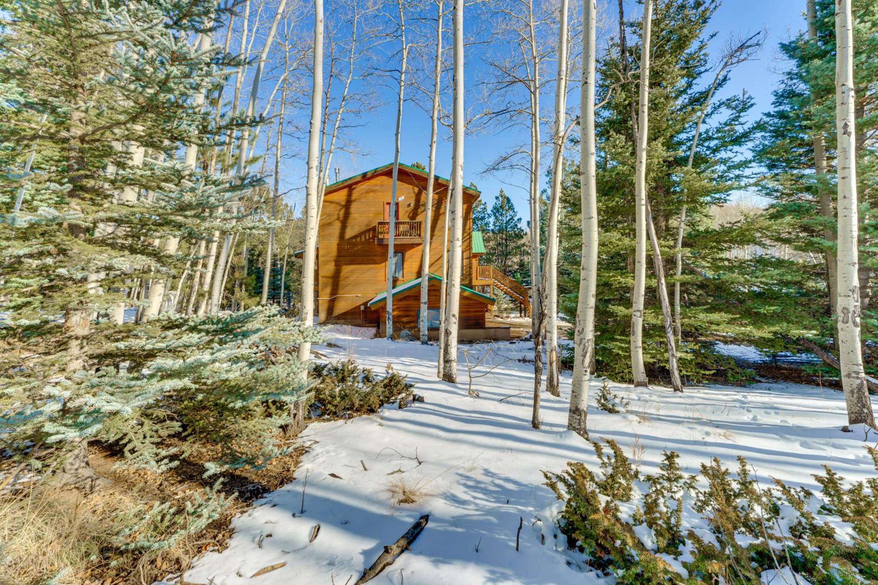 3 Mi to Angel Fire Resort! Quaint Apt on 2 Acres
