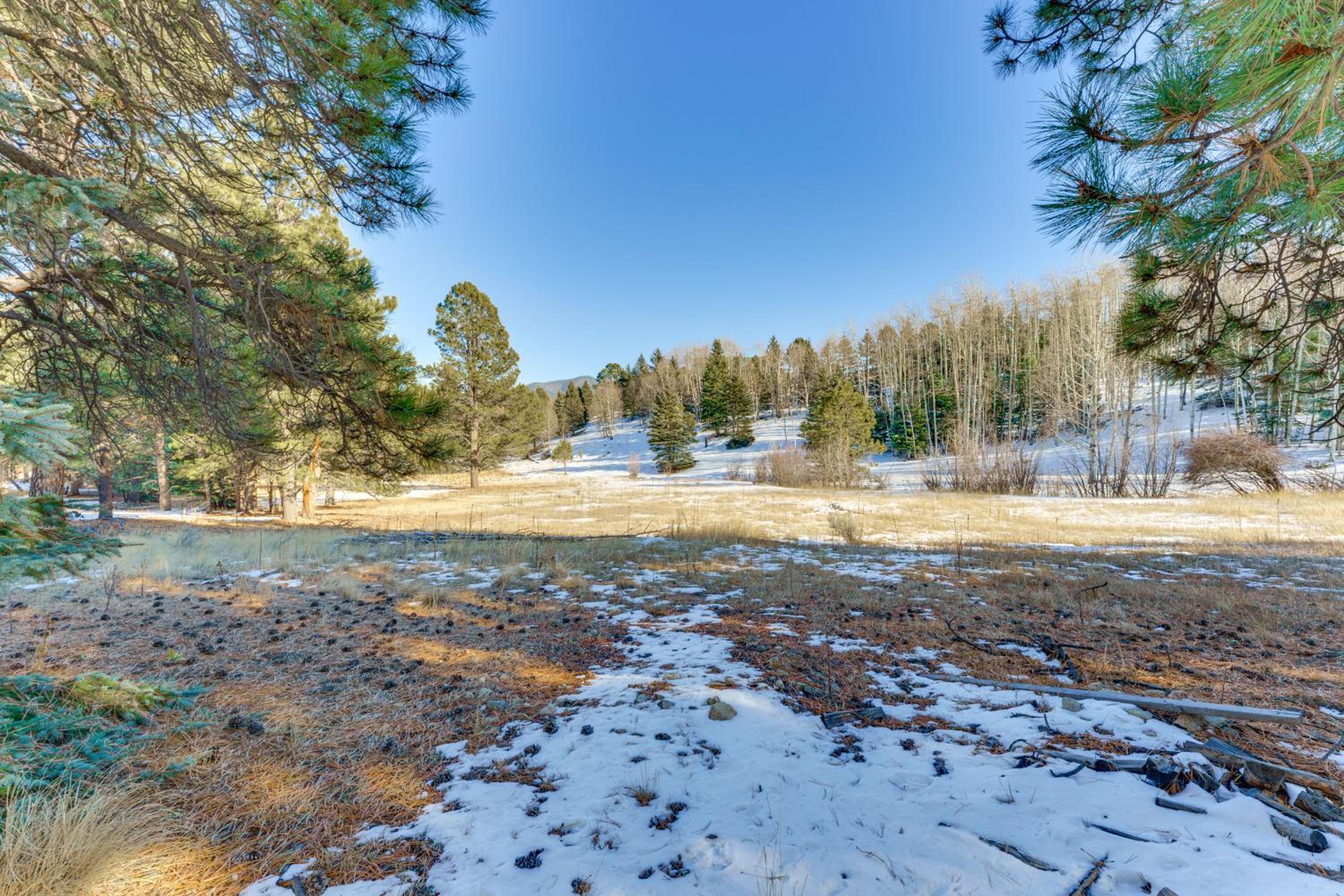 3 Mi to Angel Fire Resort! Quaint Apt on 2 Acres