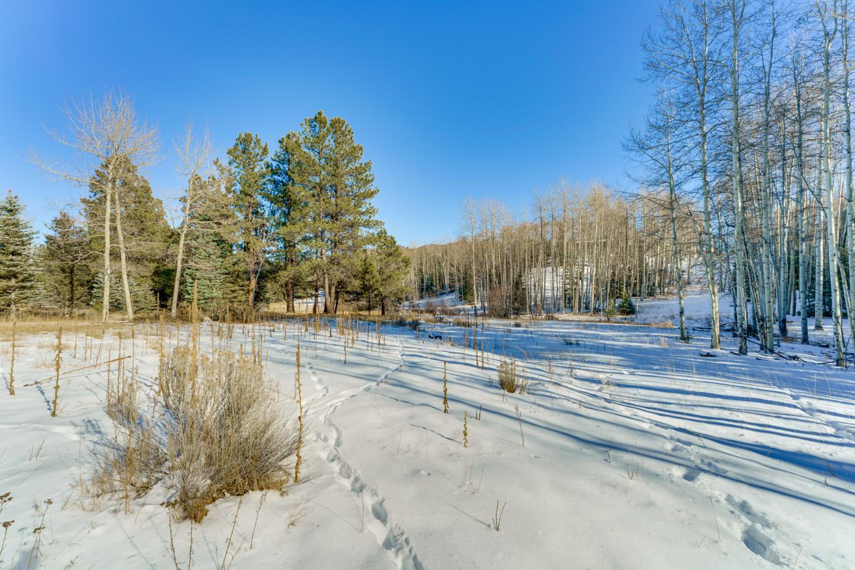 3 Mi to Angel Fire Resort! Quaint Apt on 2 Acres