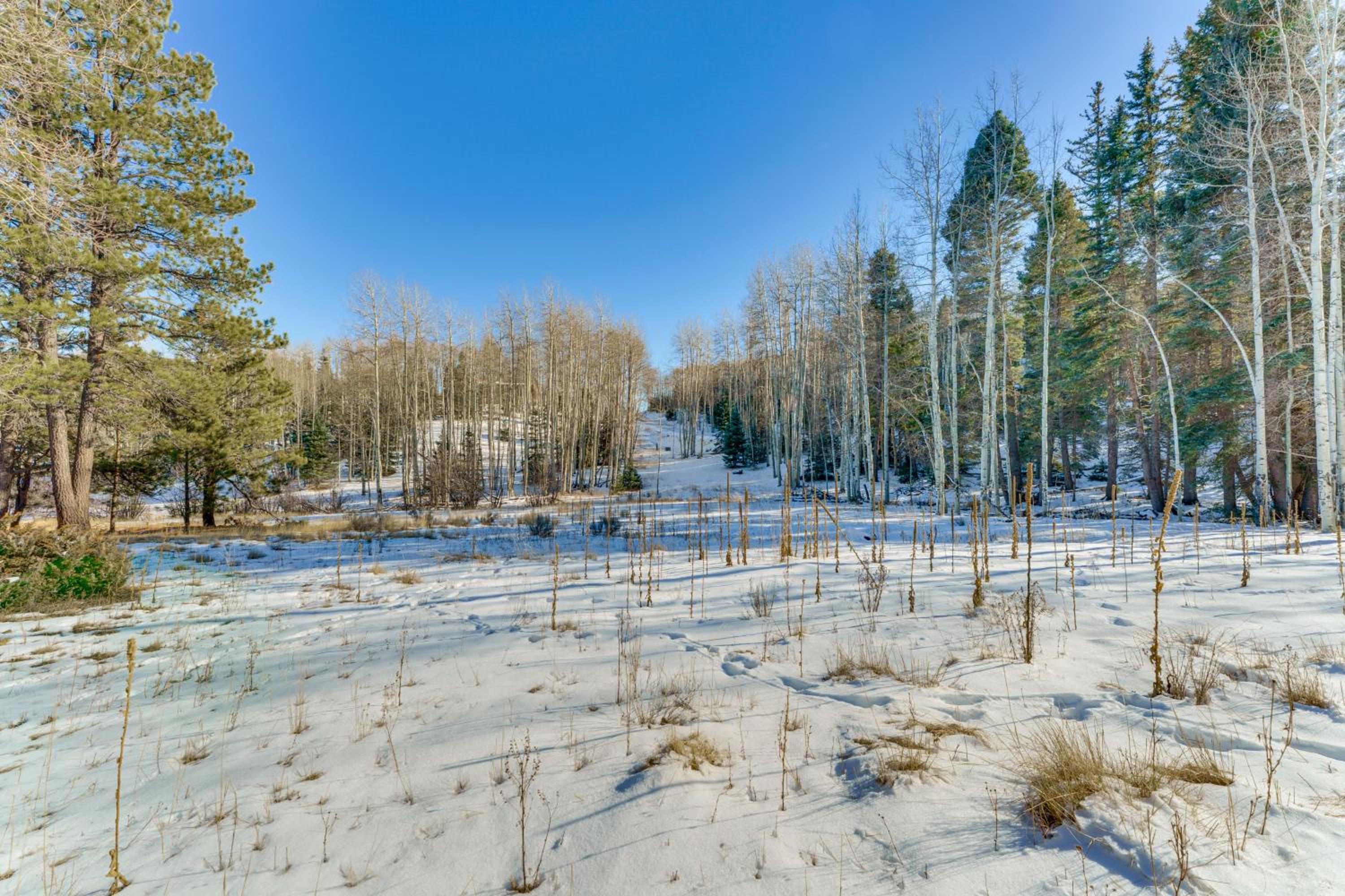 3 Mi to Angel Fire Resort! Quaint Apt on 2 Acres