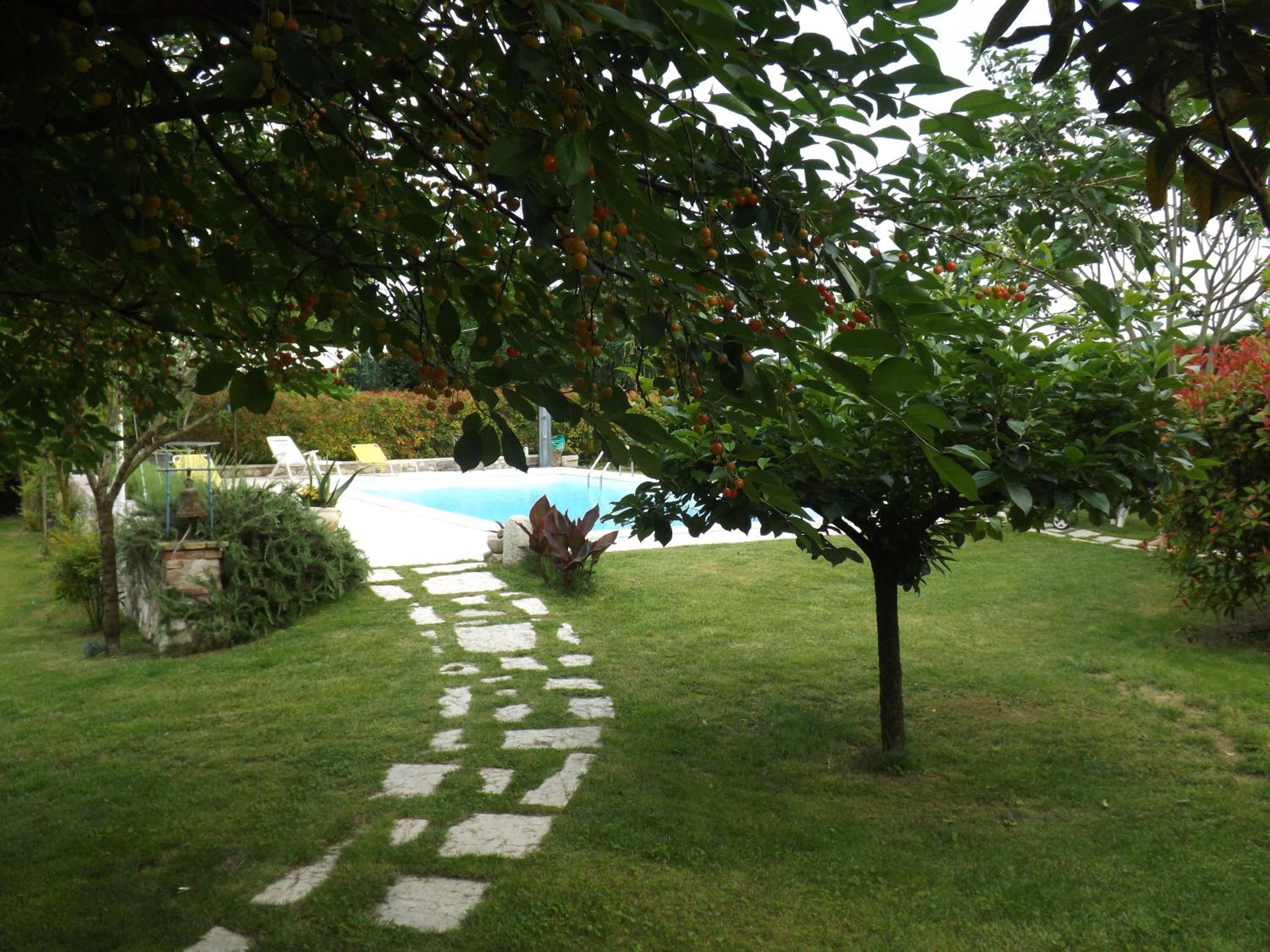 Photo 15