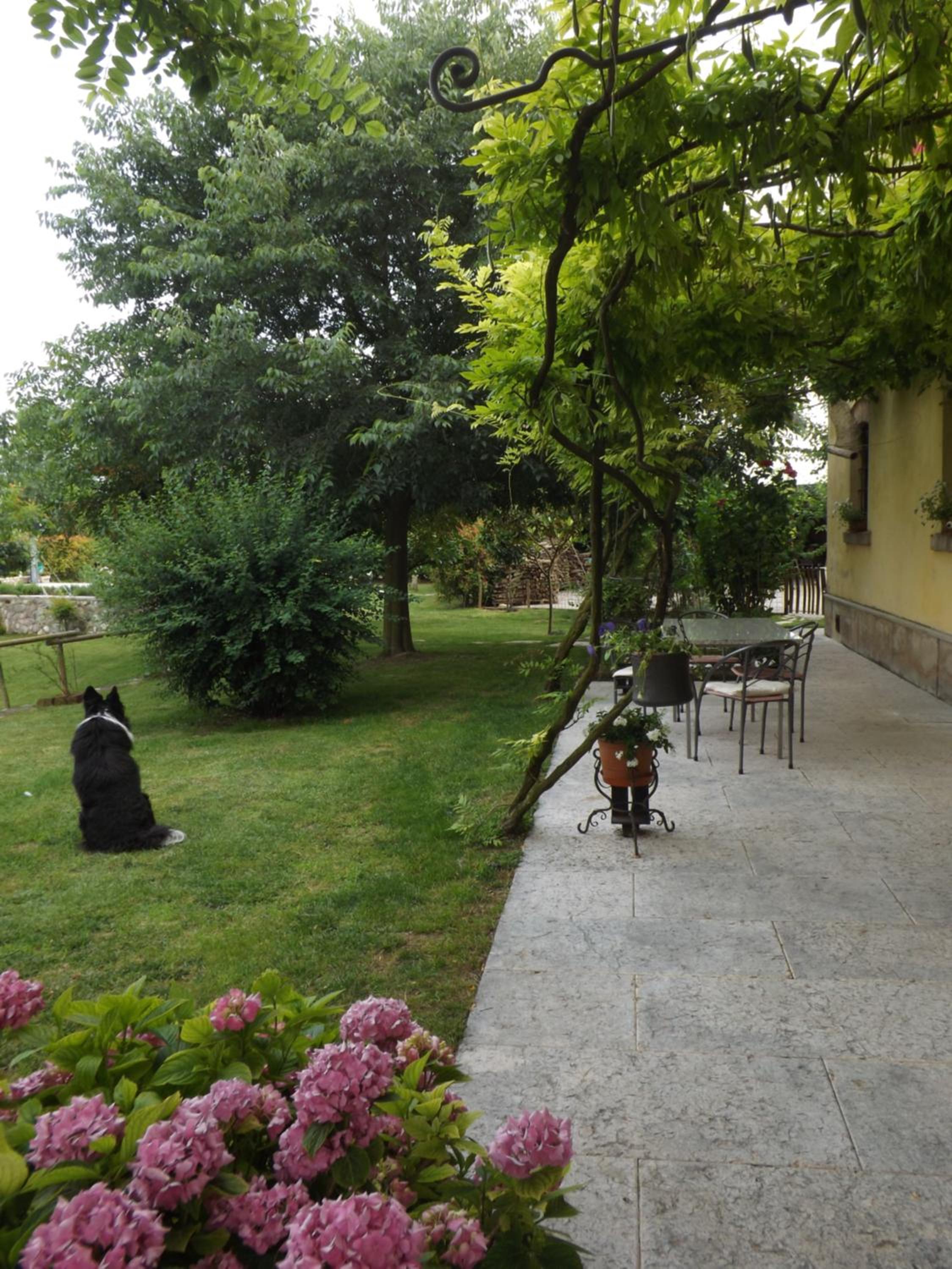 Photo 10