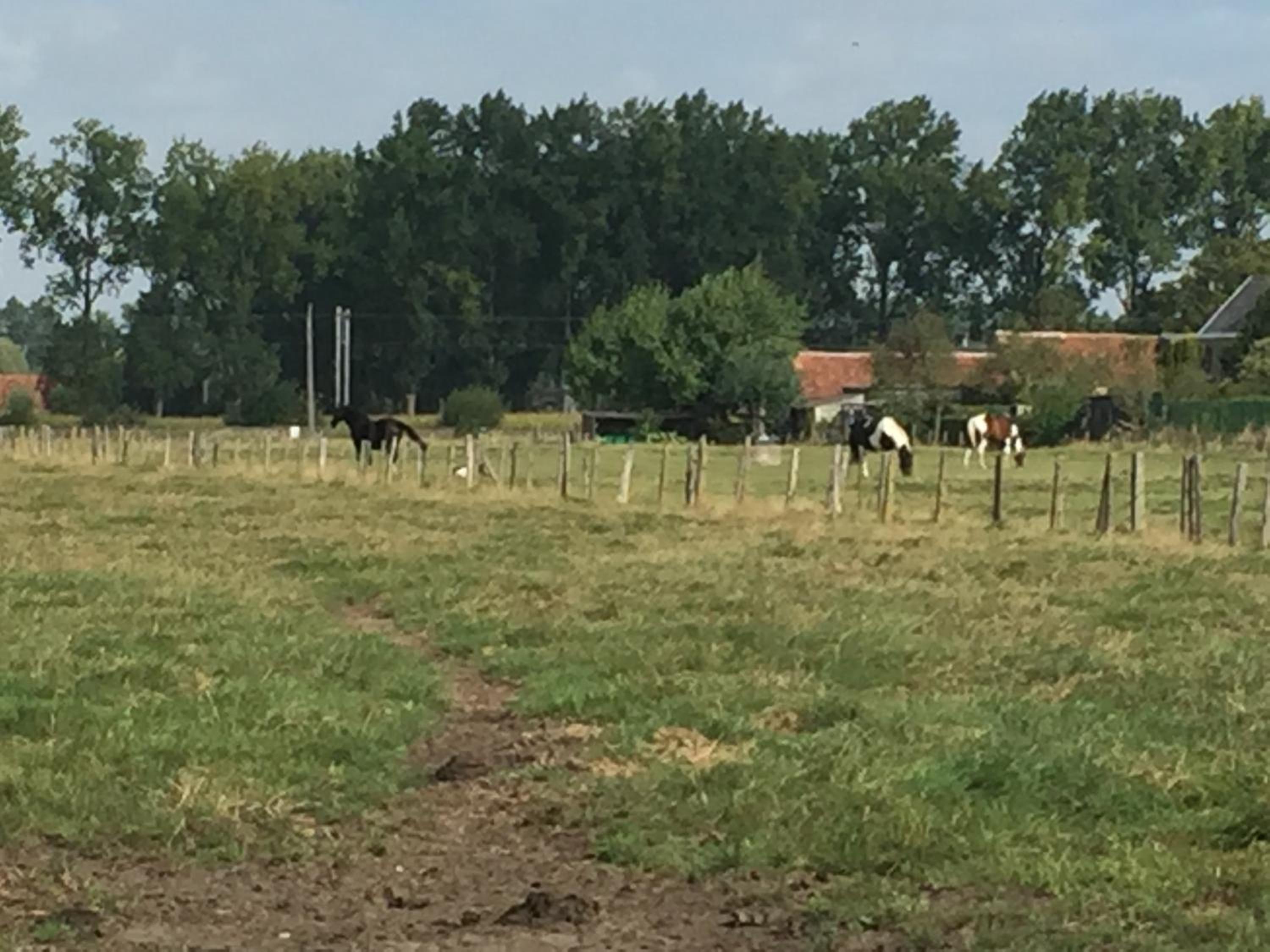 Vakantielogies Boerke Naas