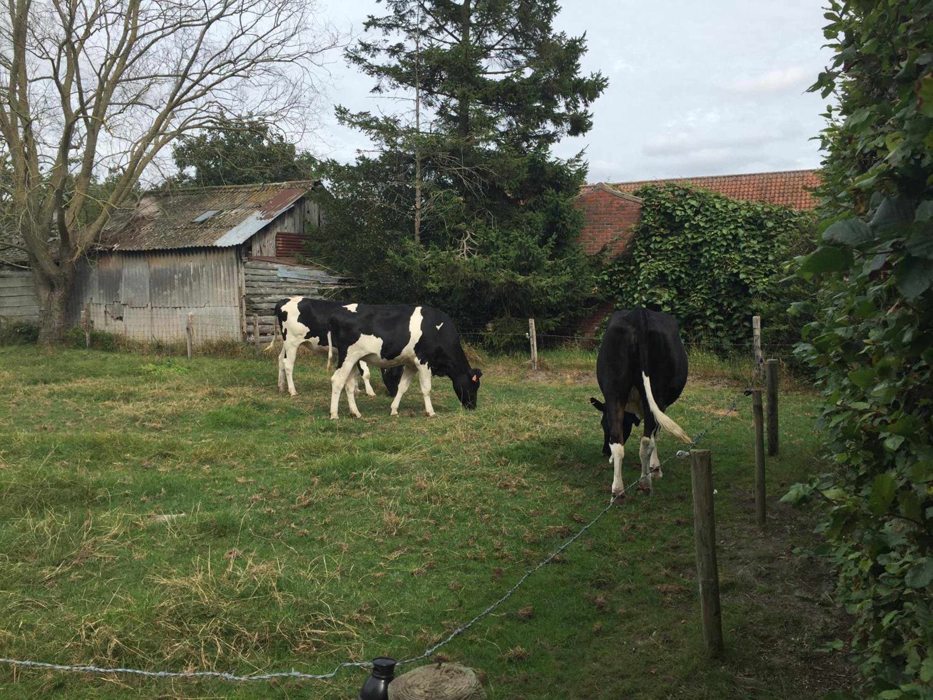 Vakantielogies Boerke Naas