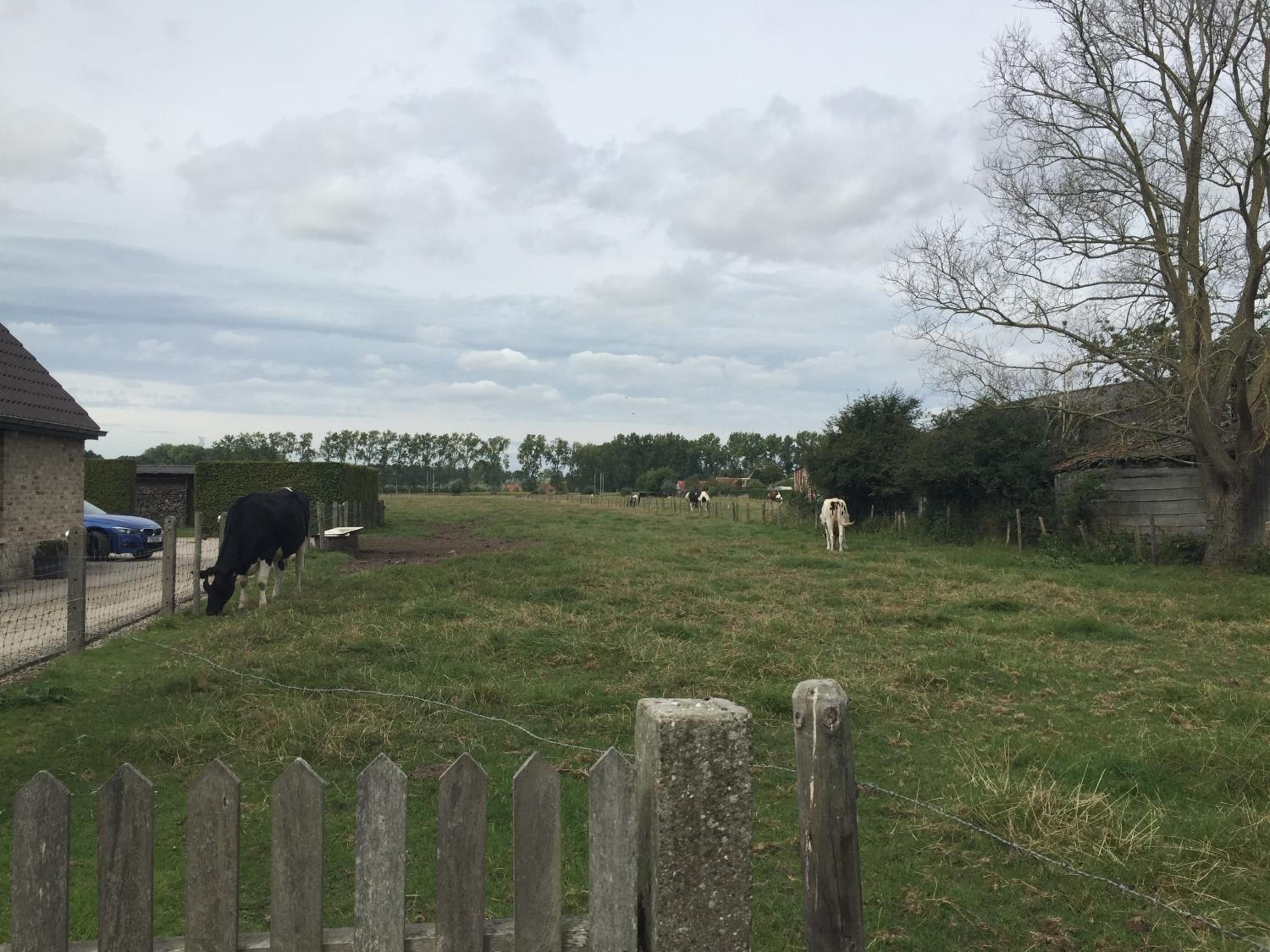 Vakantielogies Boerke Naas