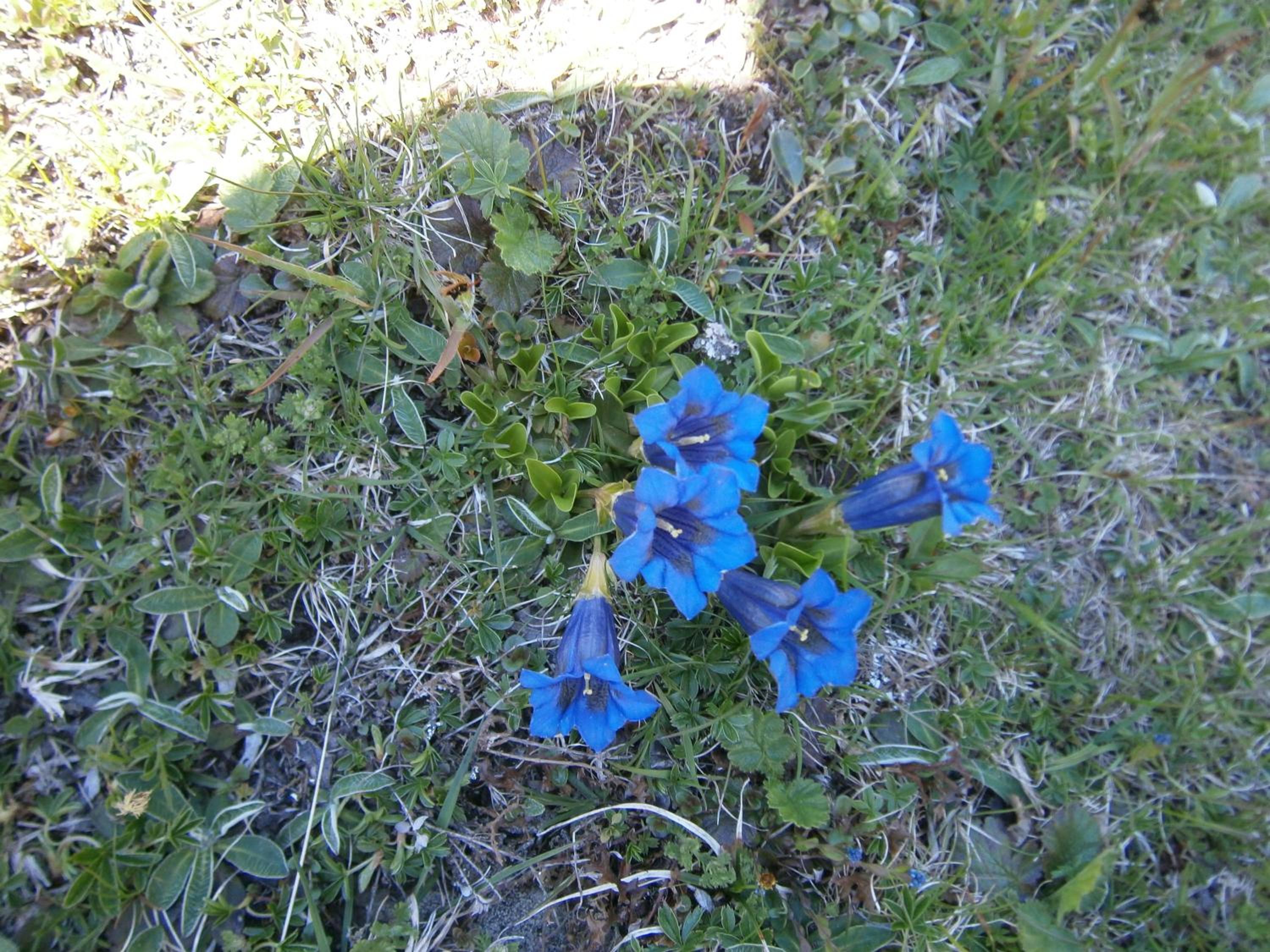 Photo 20