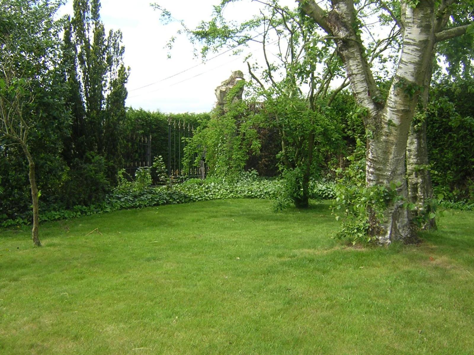 The Cosy Hill