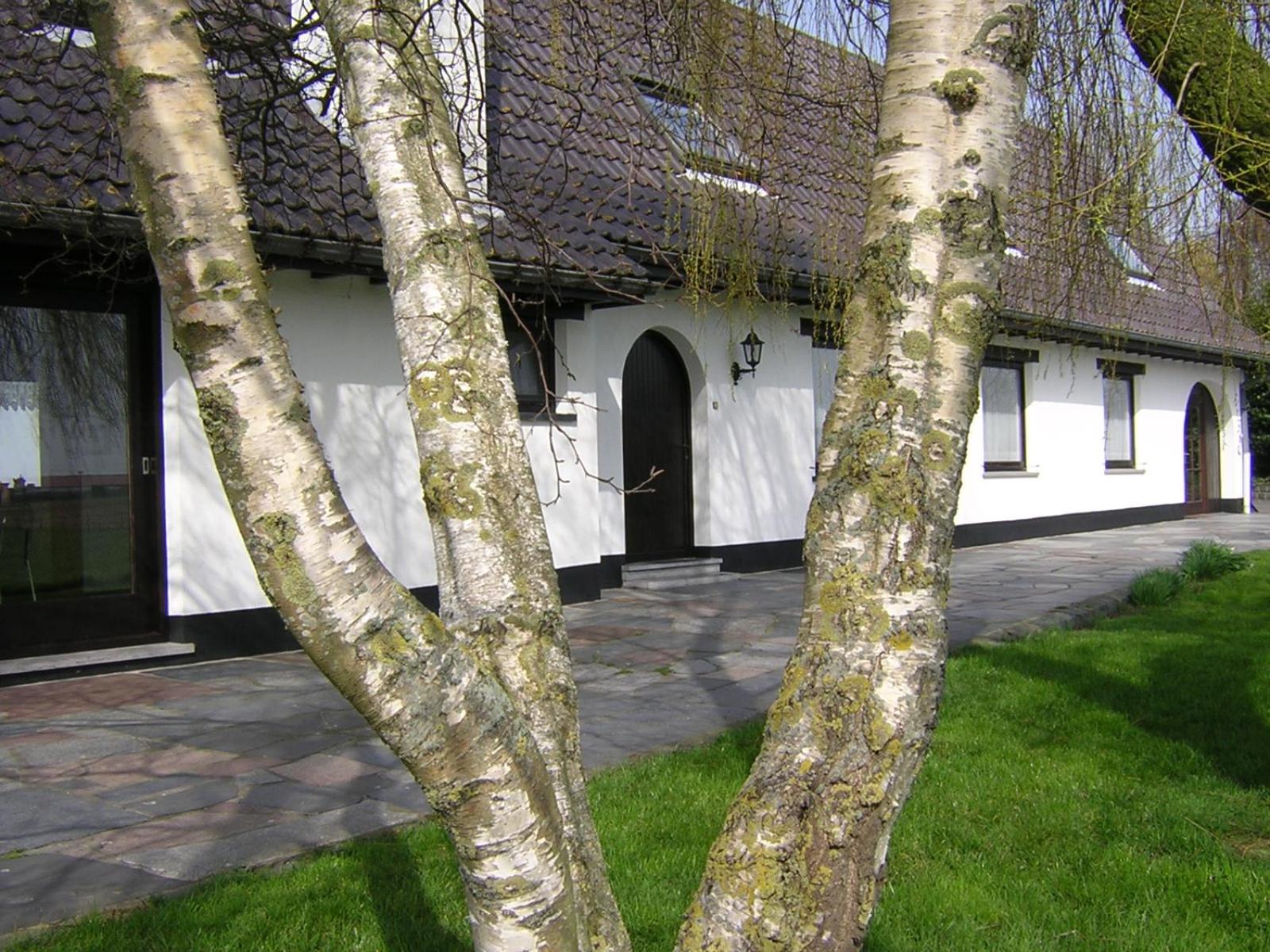 The Cosy Hill