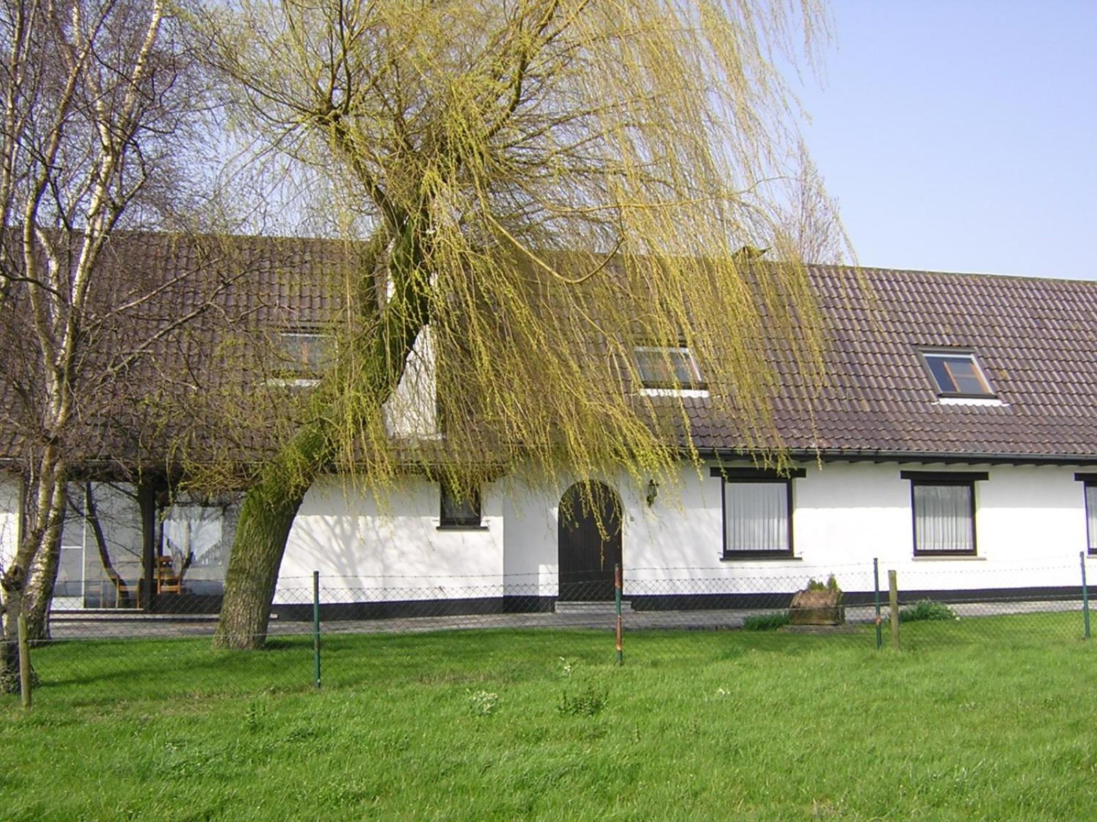 The Cosy Hill