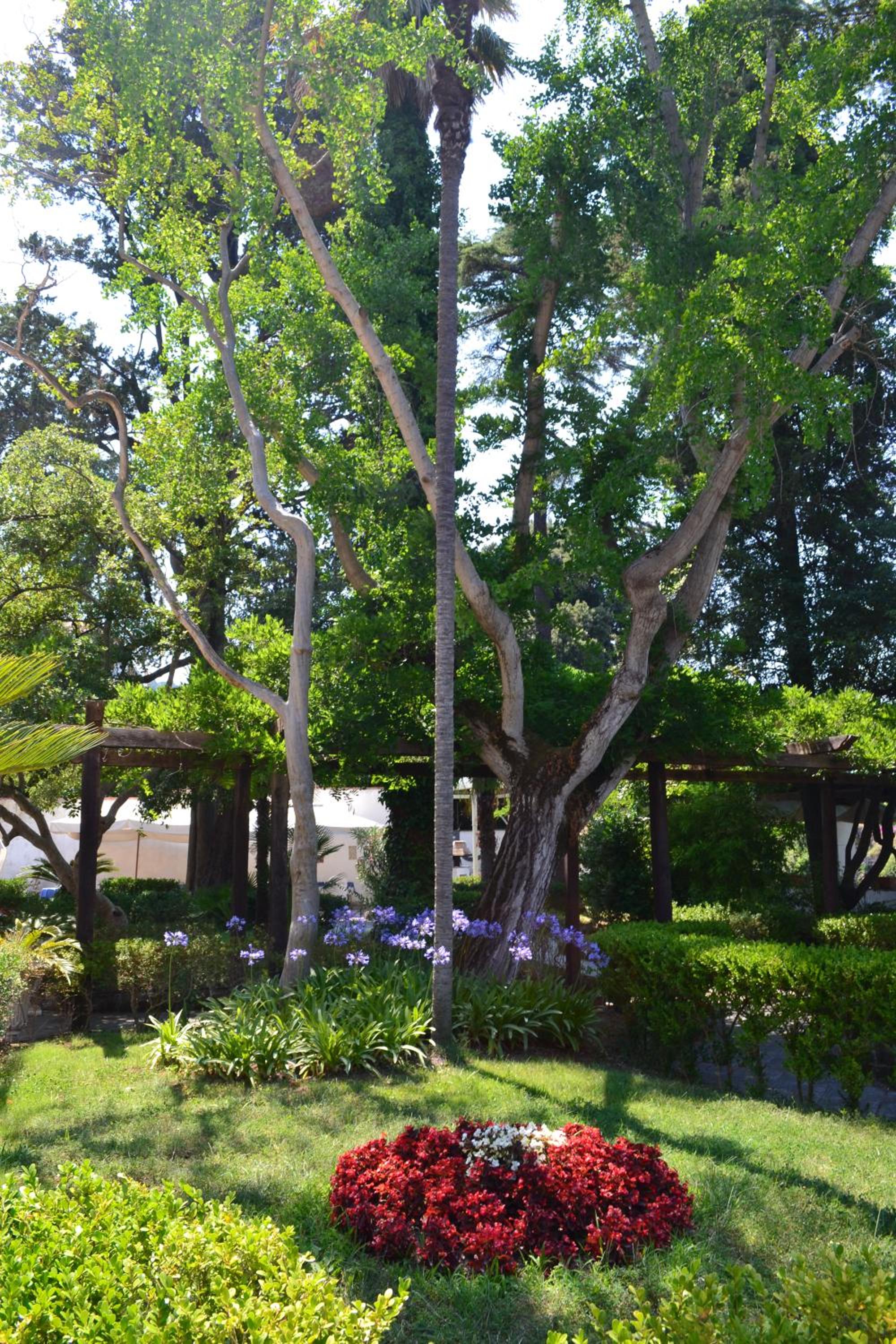 Relais La Rupe