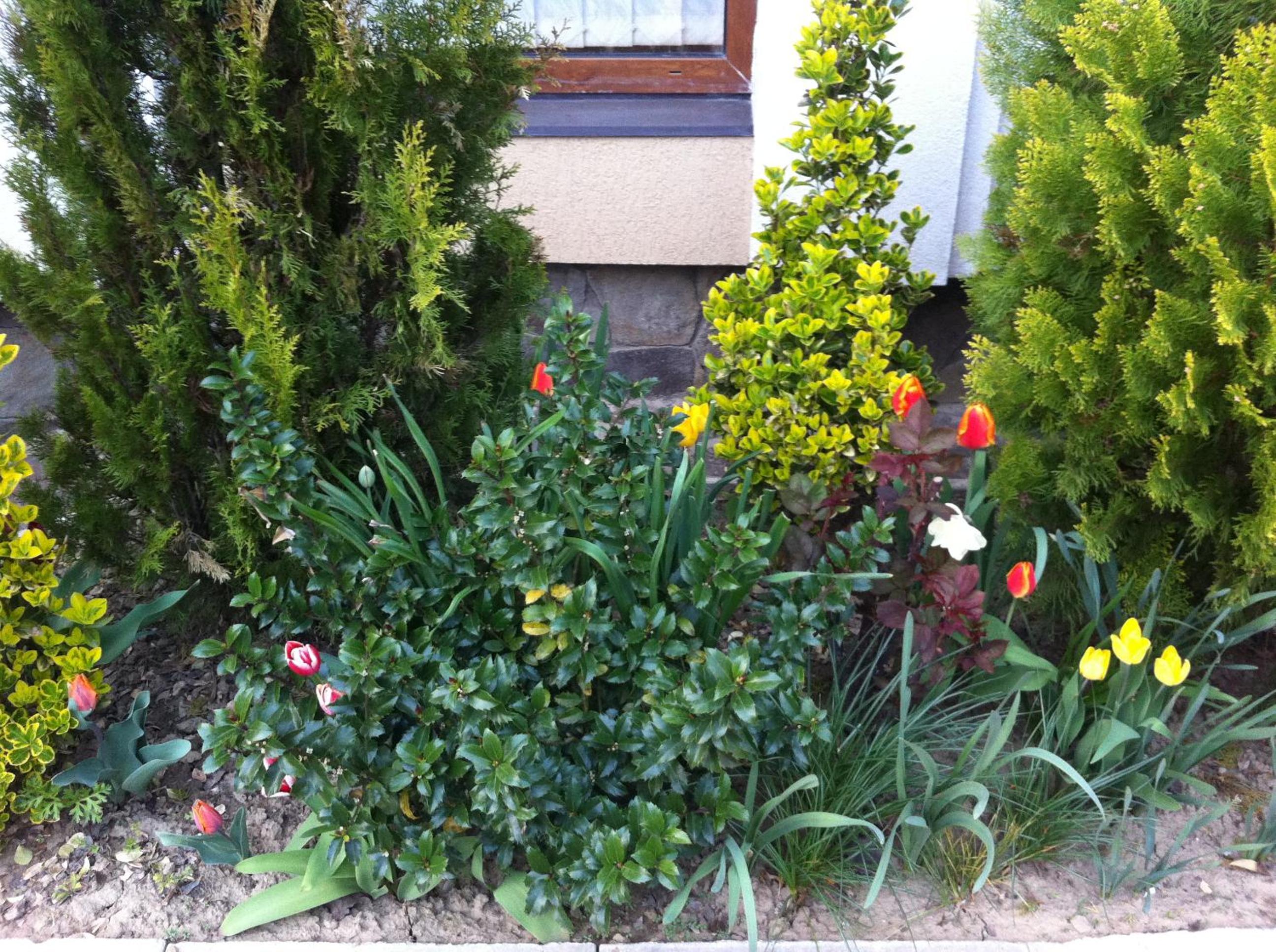 Photo 67