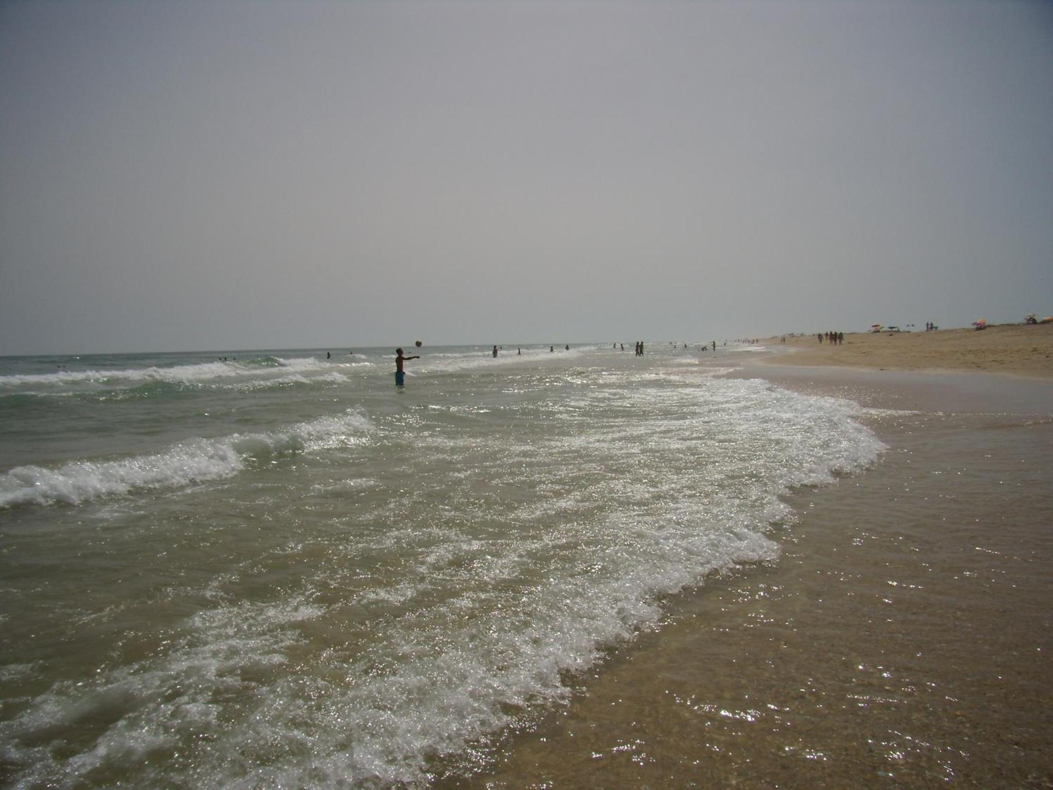 Photo 31