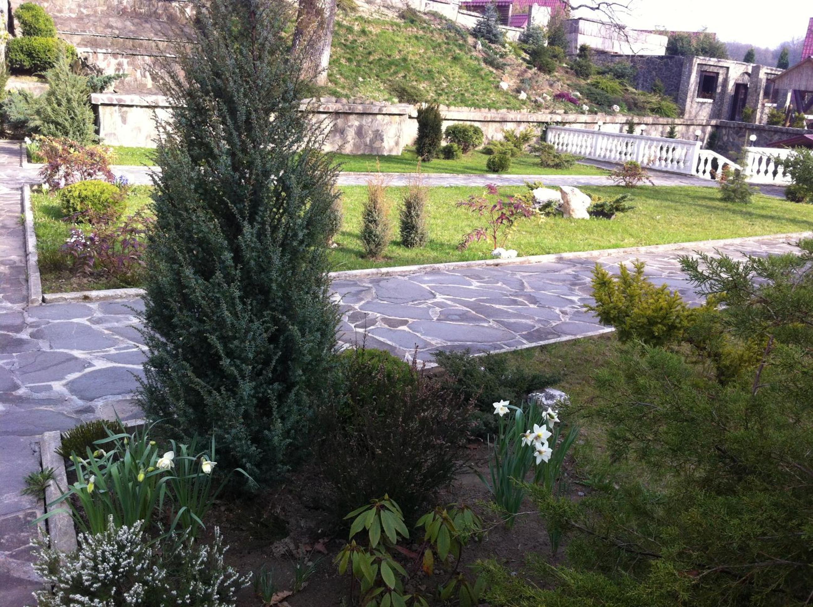 Photo 22