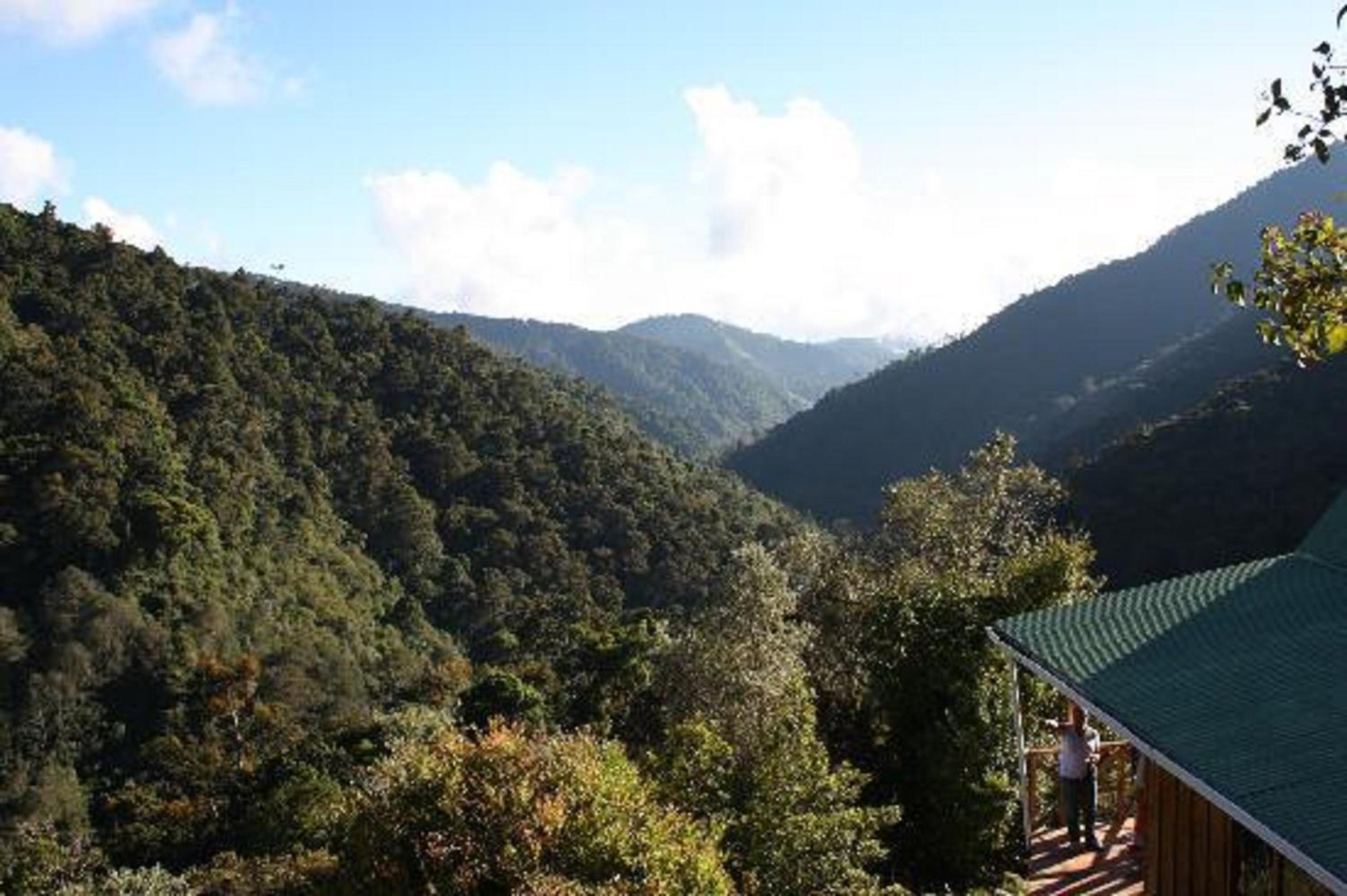 Quetzal Valley Cabins