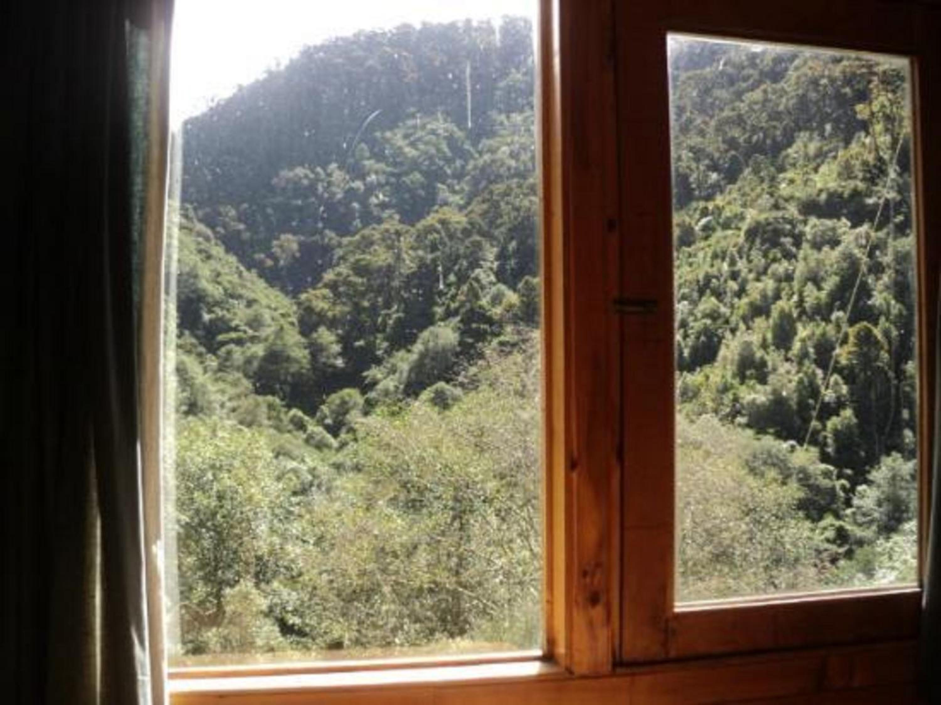 Quetzal Valley Cabins