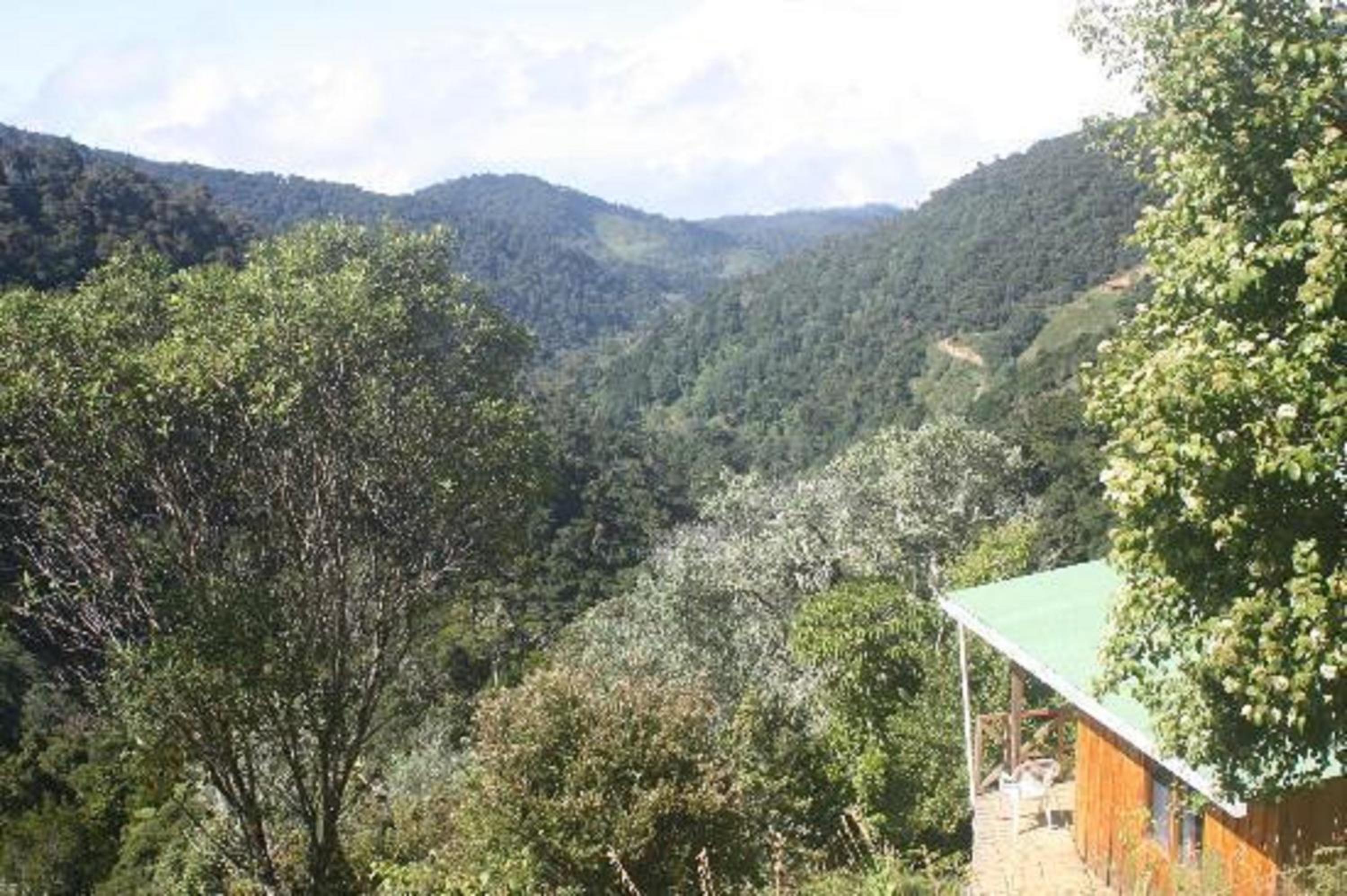 Quetzal Valley Cabins