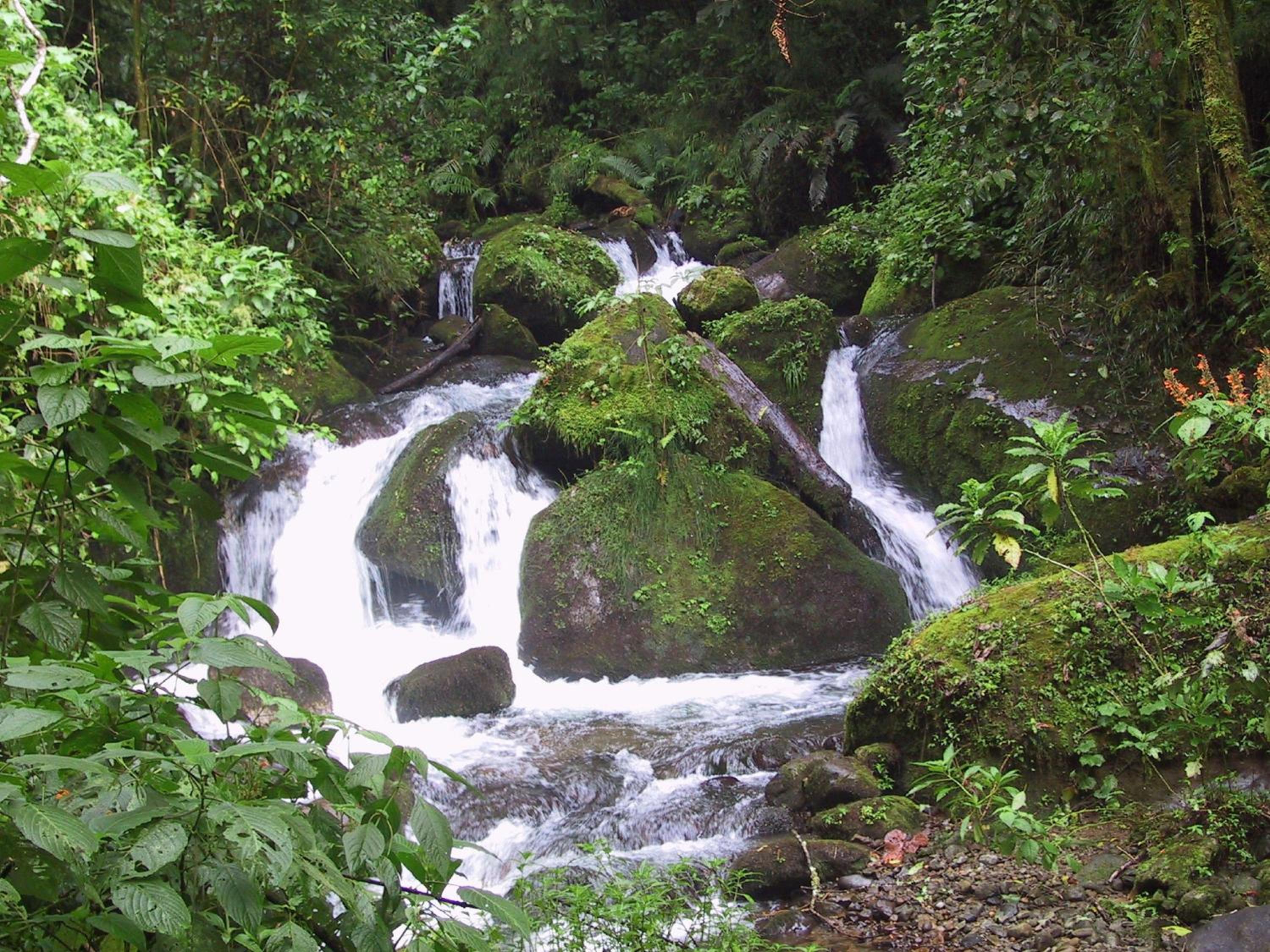 Quetzal Valley Cabins