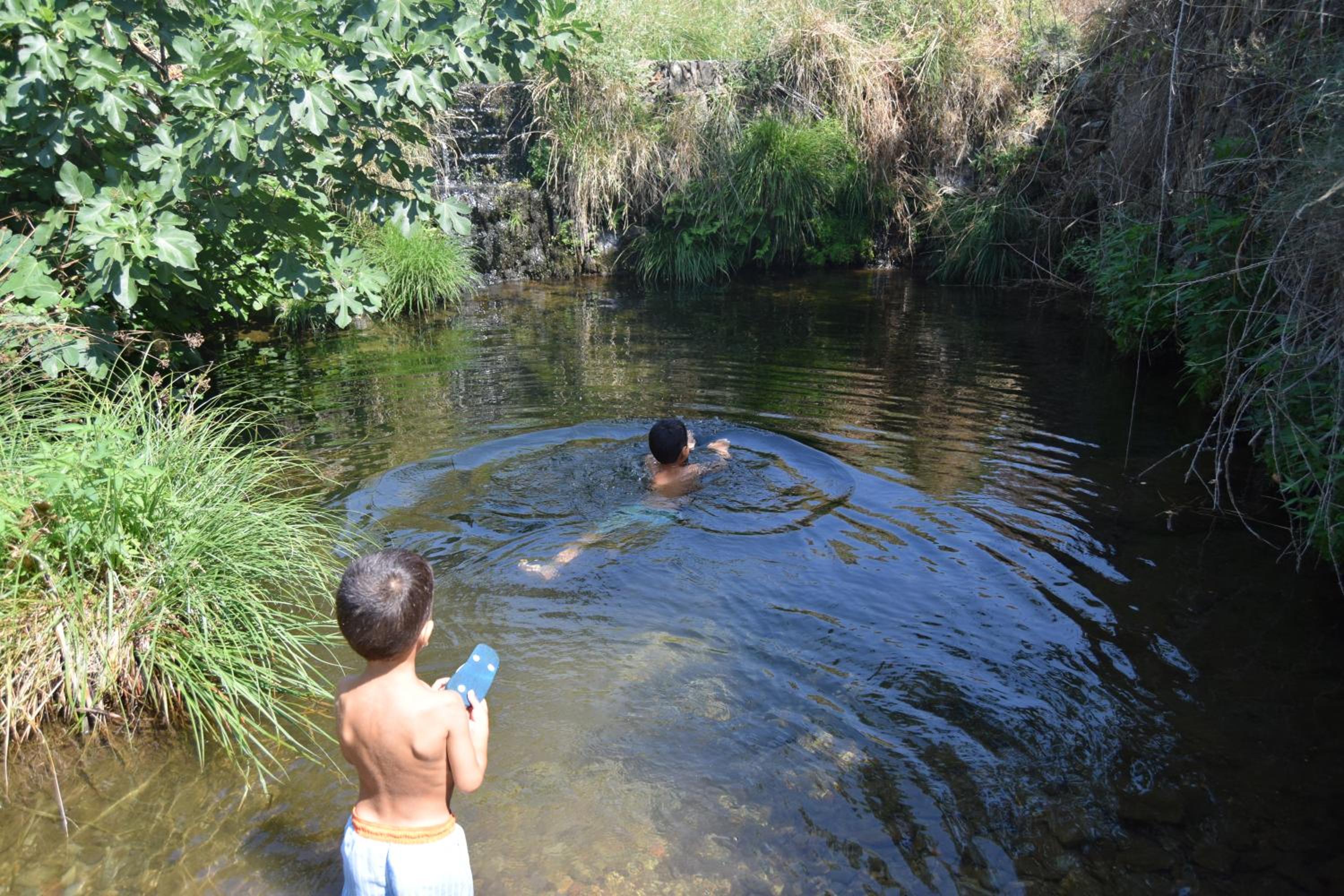 Photo 43