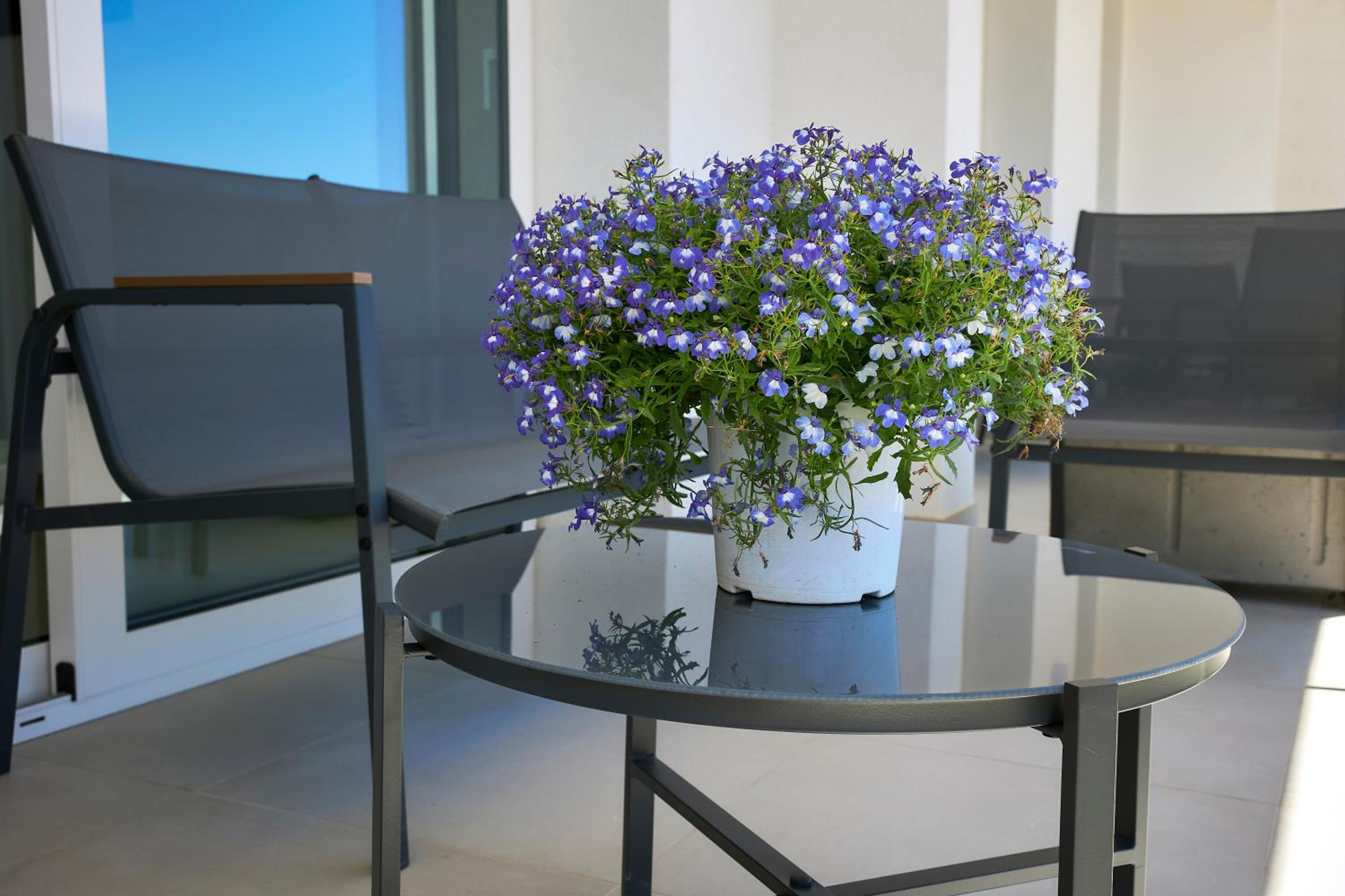 Dara Holiday Apartments