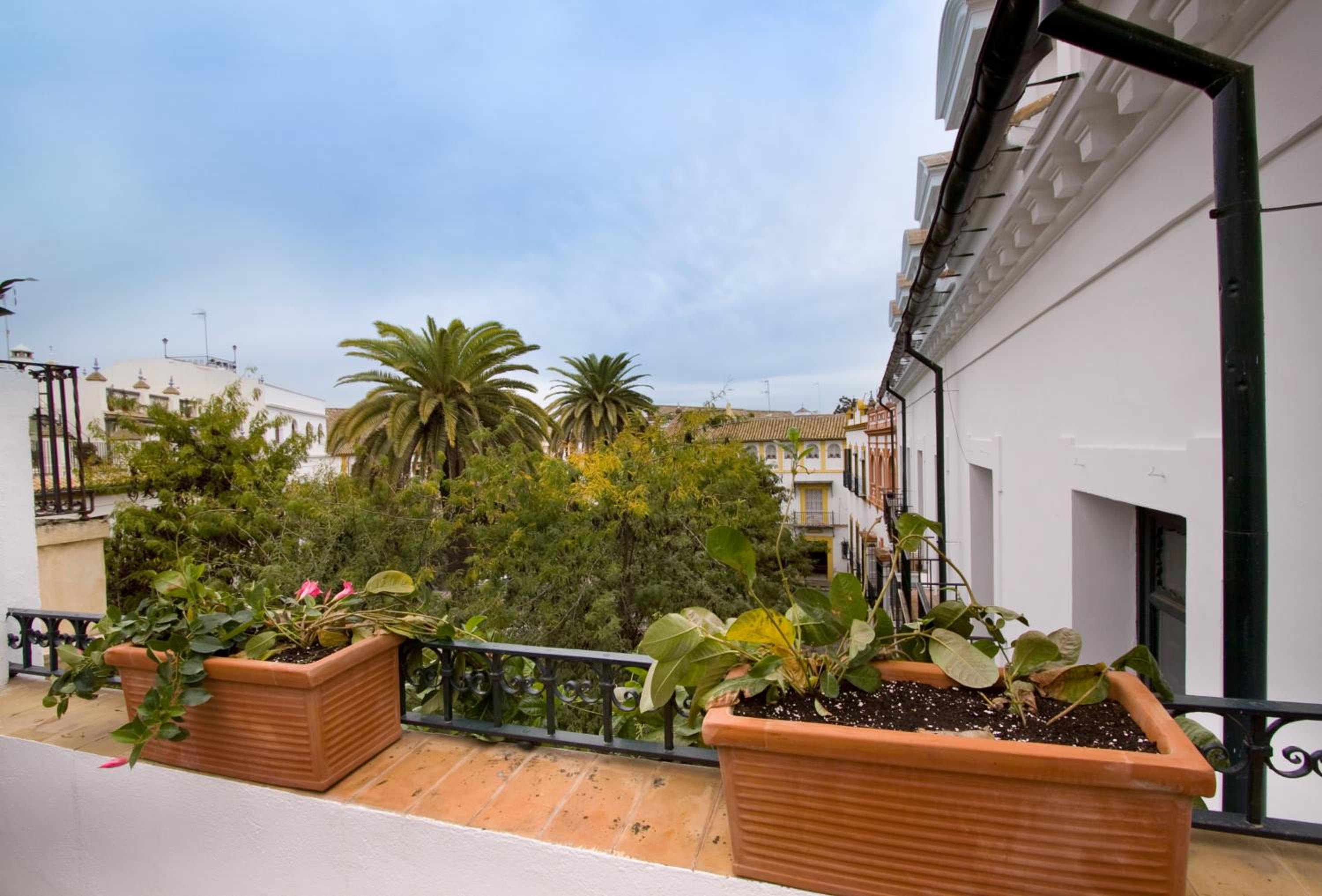 Apartamentos Plaza Pilatos