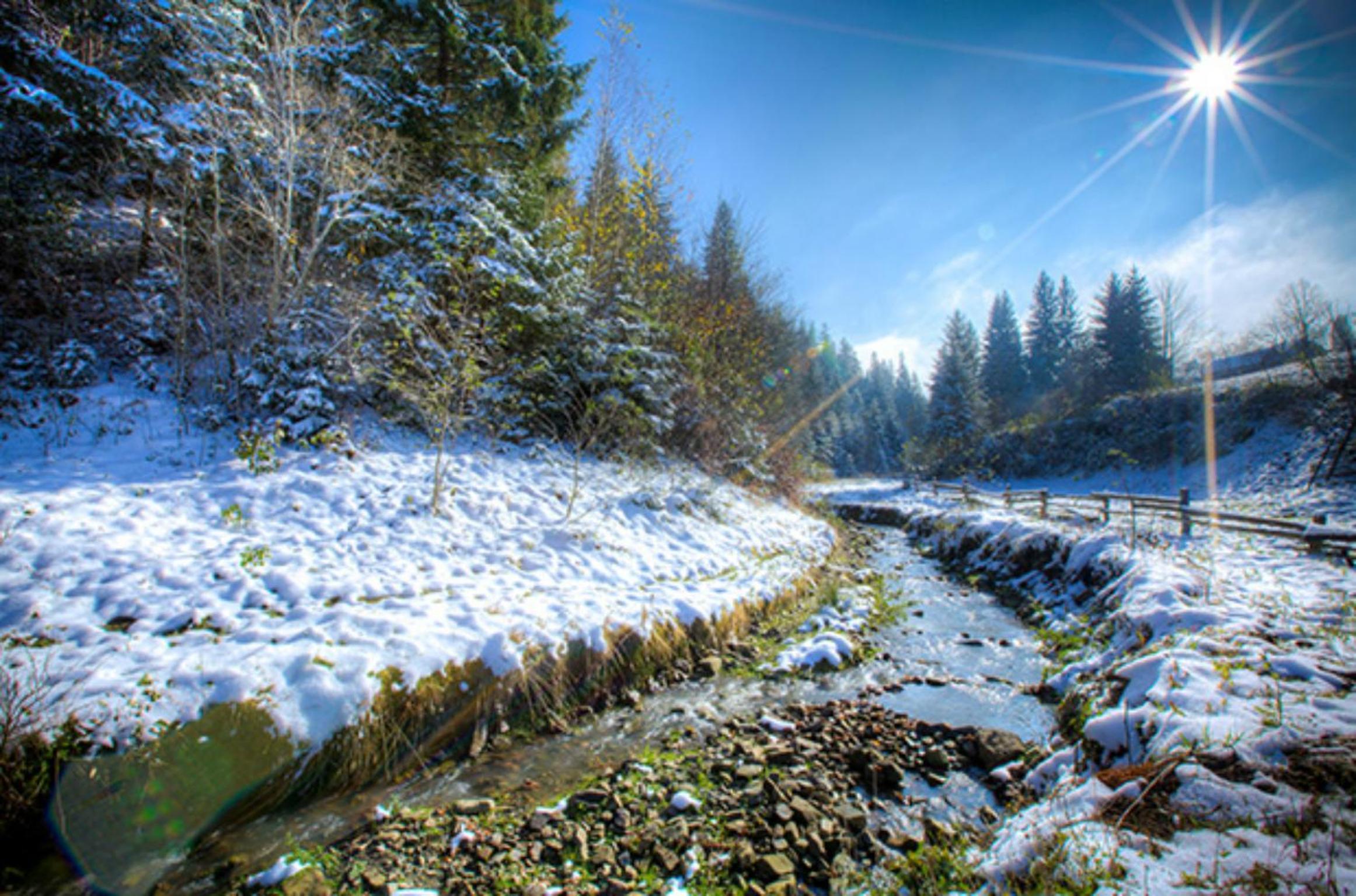 Sadyba Karpaty view 5