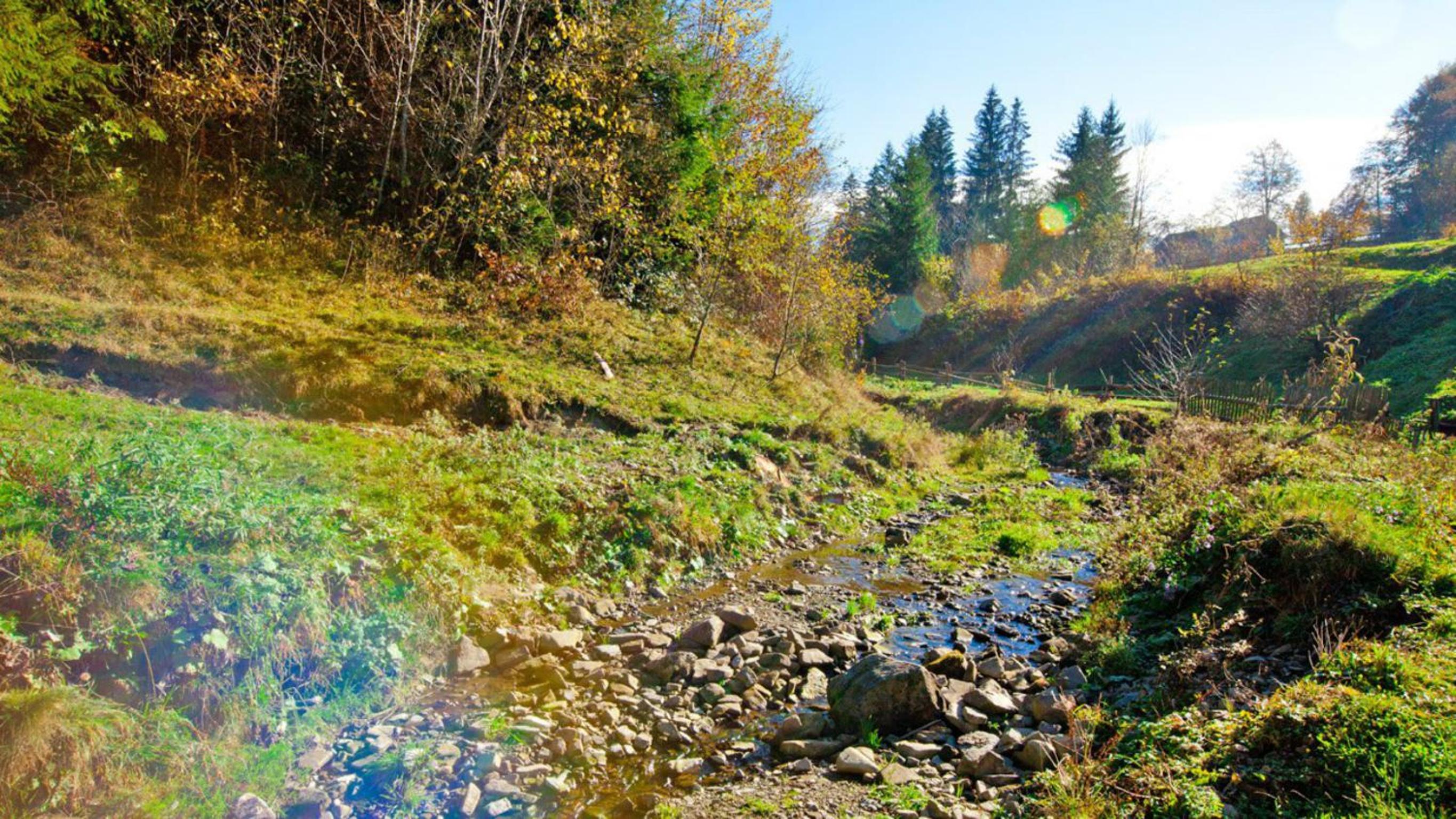 Sadyba Karpaty view 4