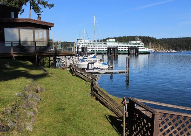 Friday Harbor Lights