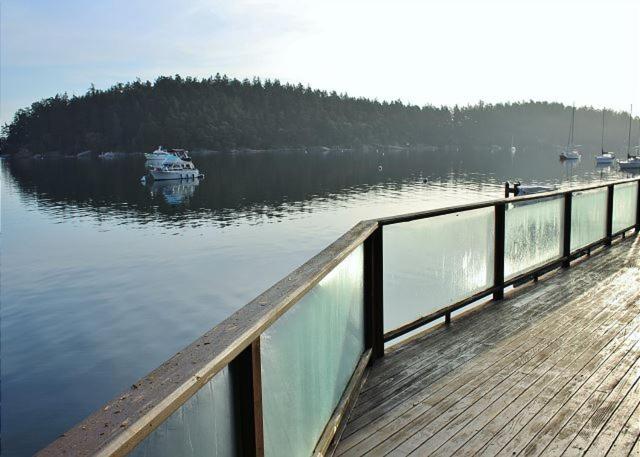 Friday Harbor Lights