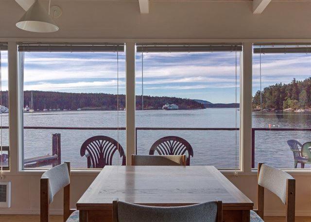 Friday Harbor Lights
