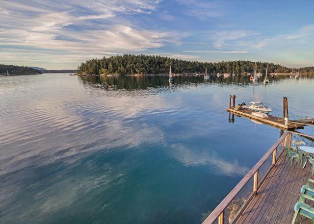 Friday Harbor Lights