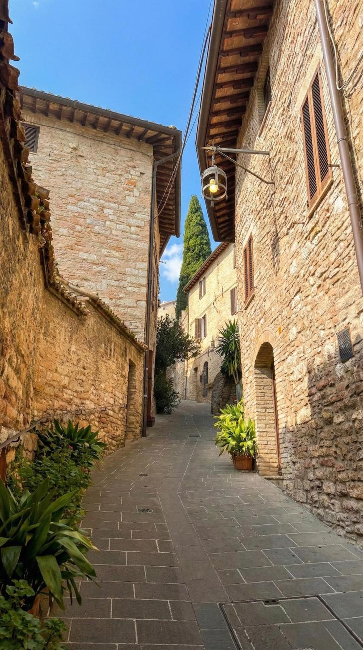 Riflesso - Oasi di Design nel Cuore di Assisi