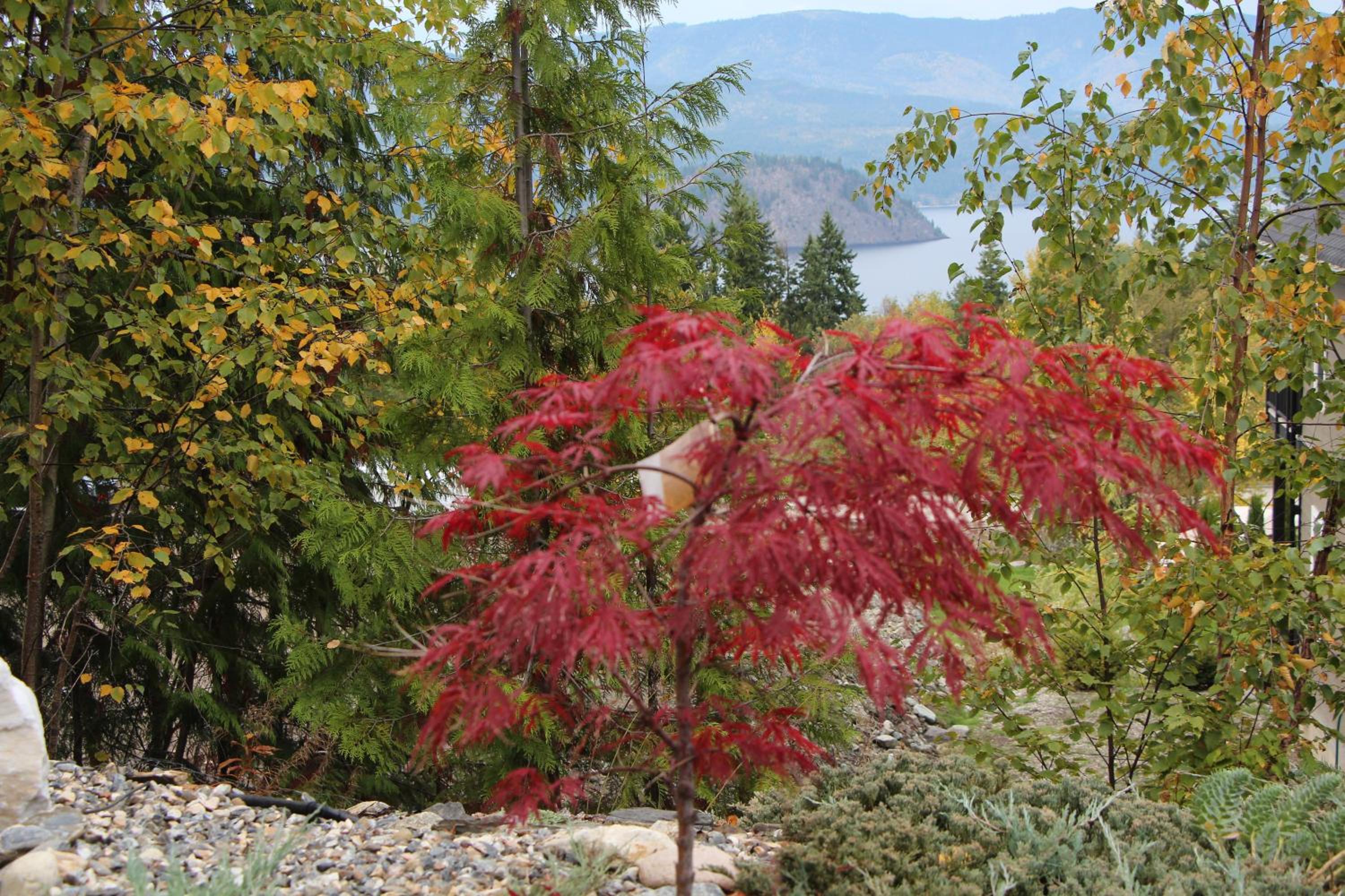 Selah Retreat Guesthouse B&B