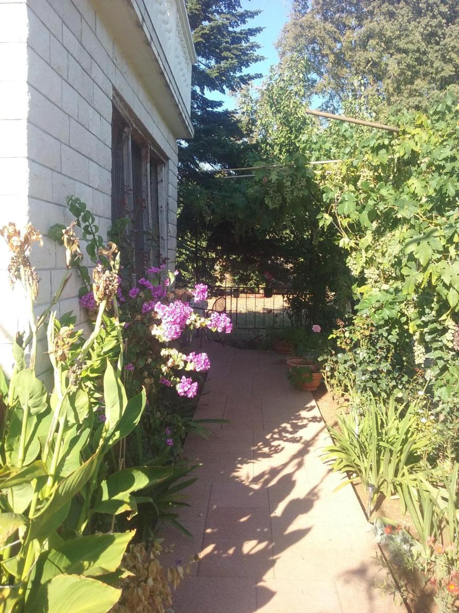 Photo 22