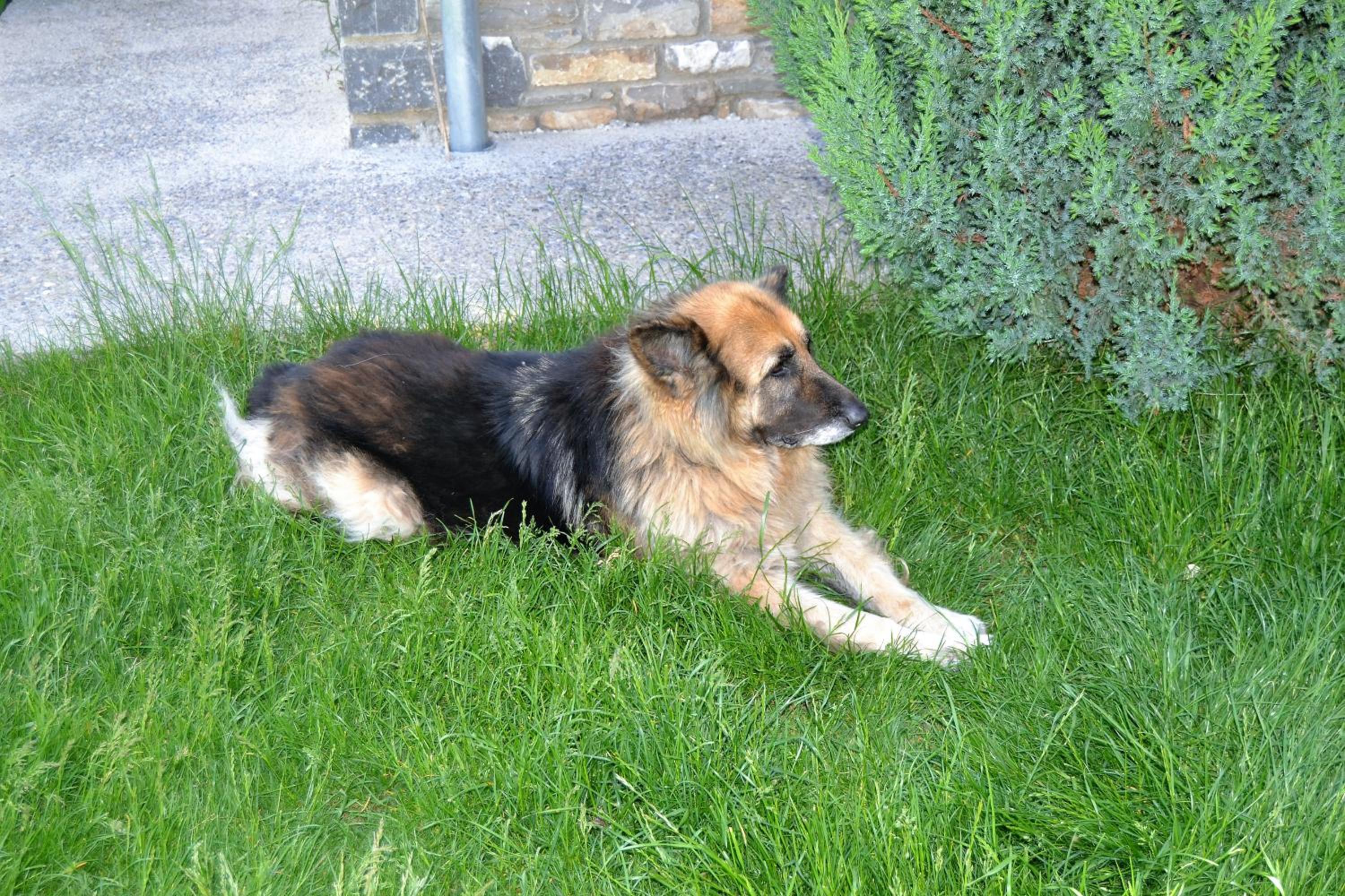 Photo 32